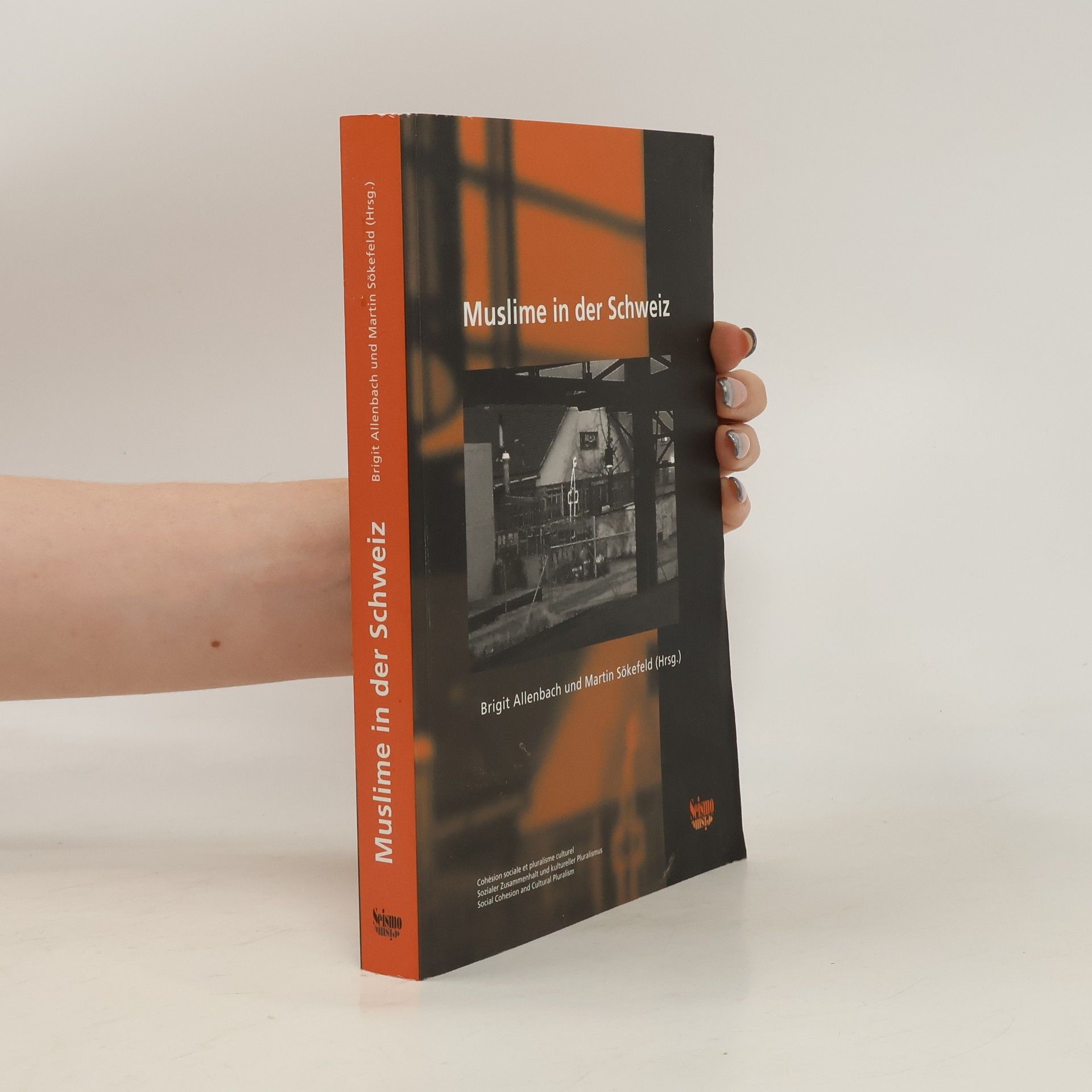 Birgit Allenbach Muslime in der Schweiz