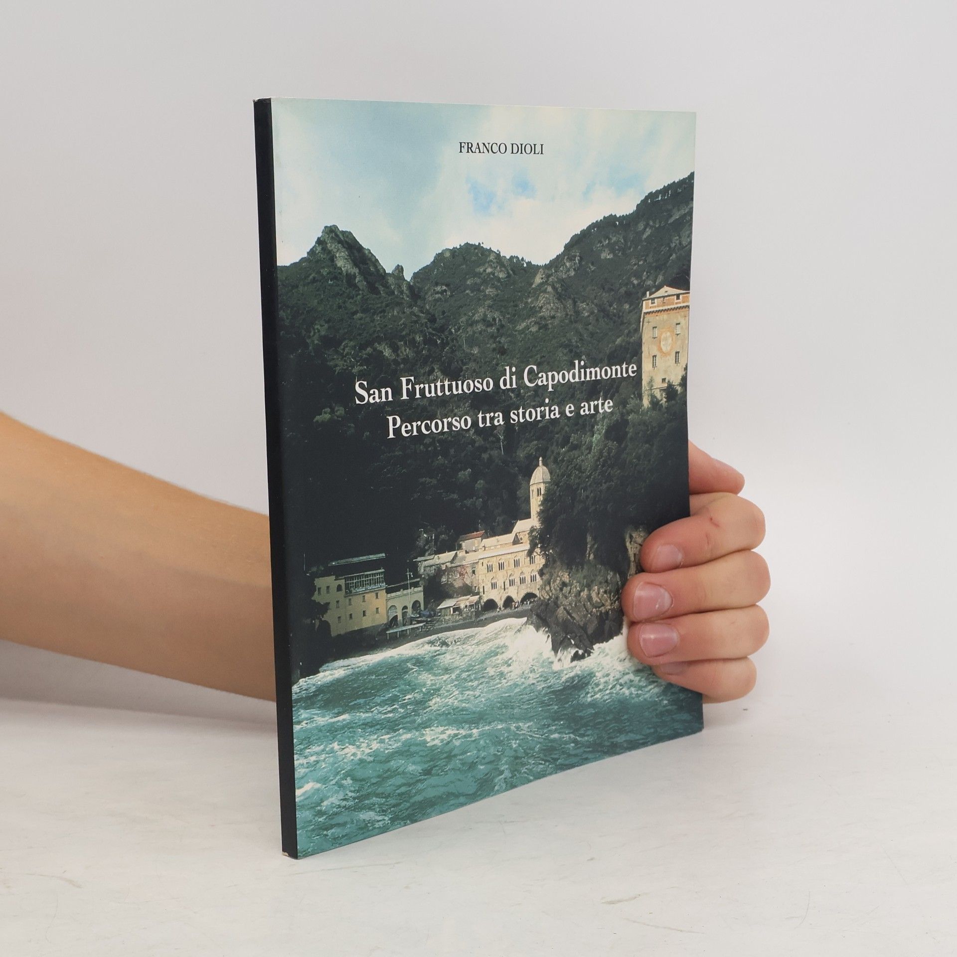 Franco Dioli San Fruttuoso di Capodimonte