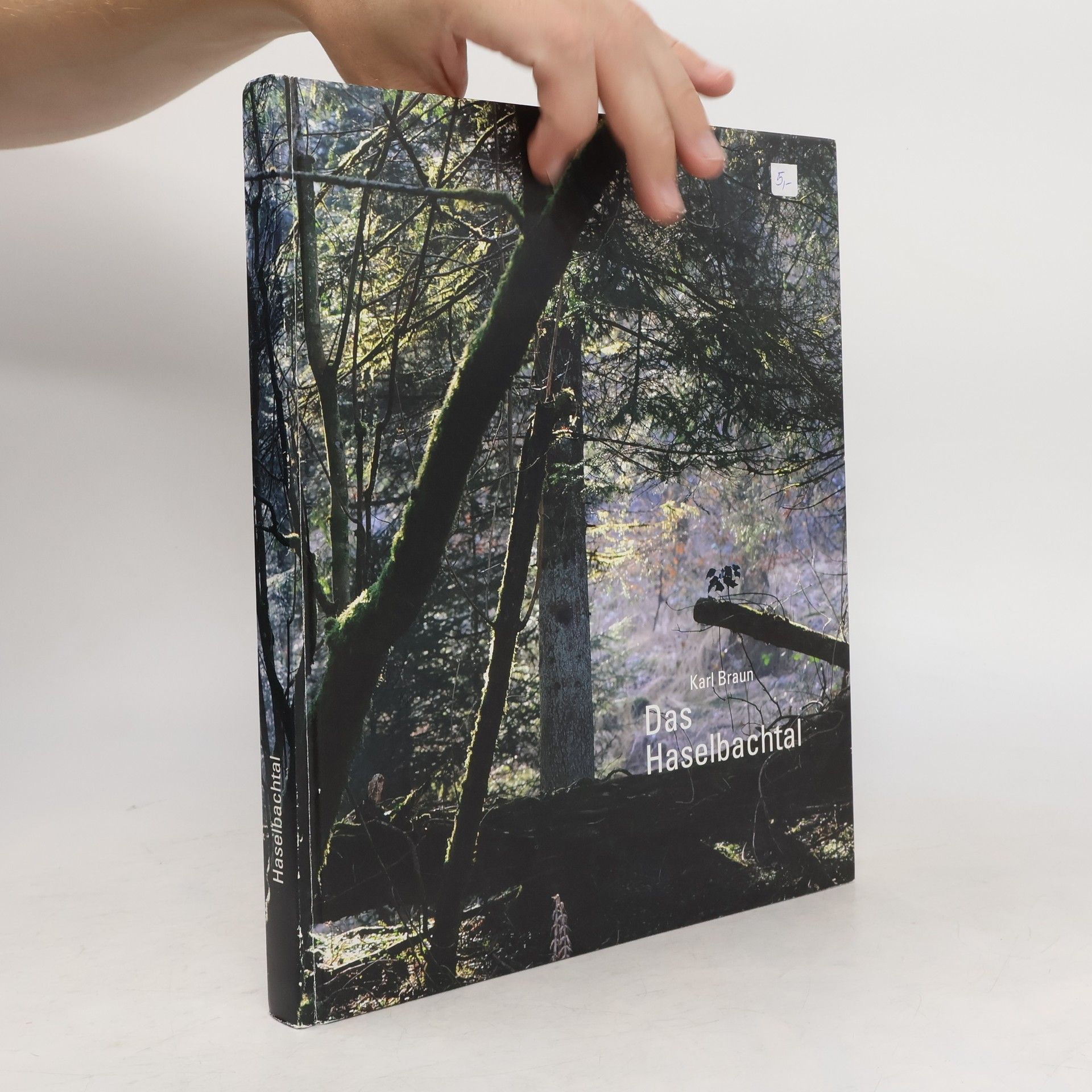 Karl Braun Das Haselbachtal