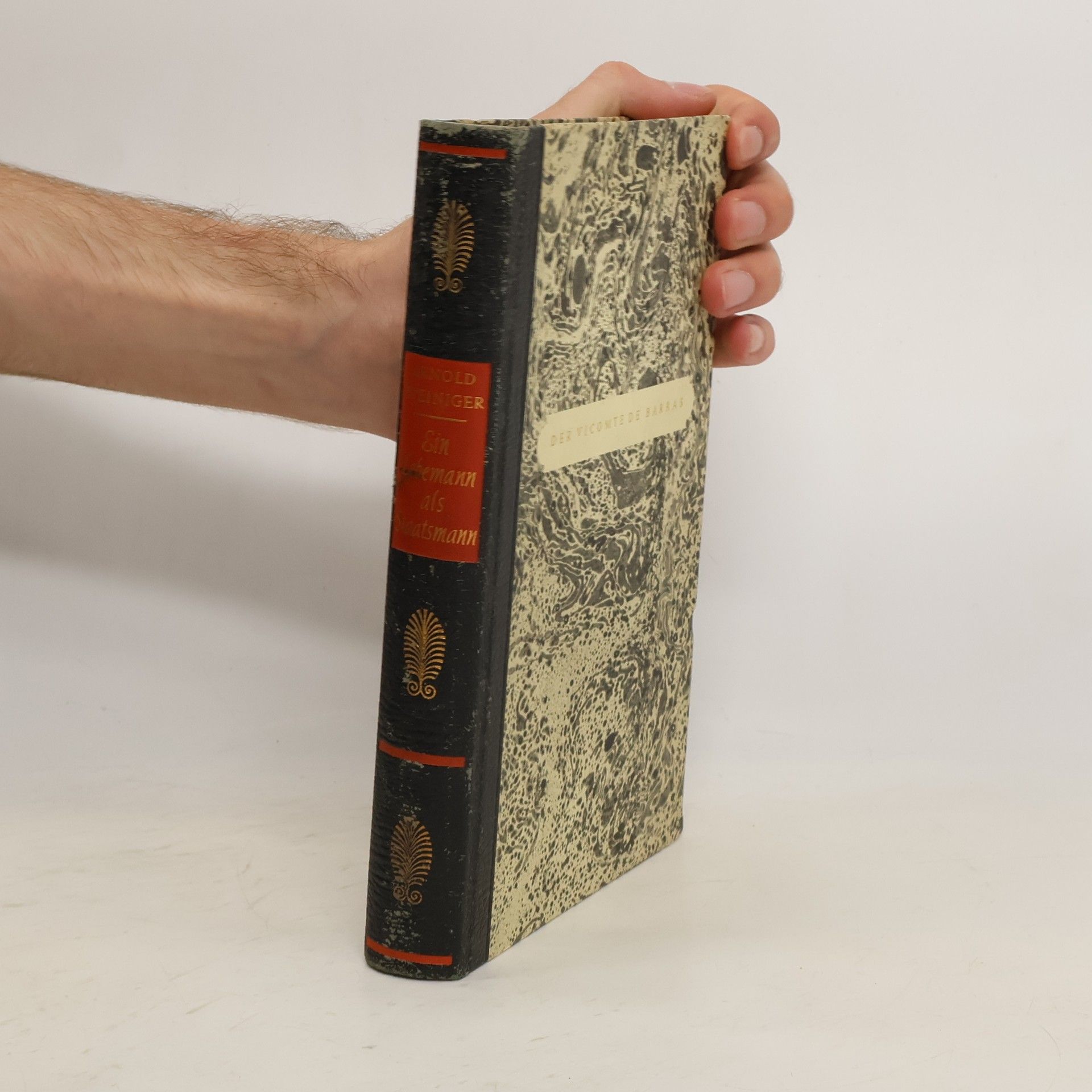 Arnold Steiniger Ein Lebemann als Staatsmann