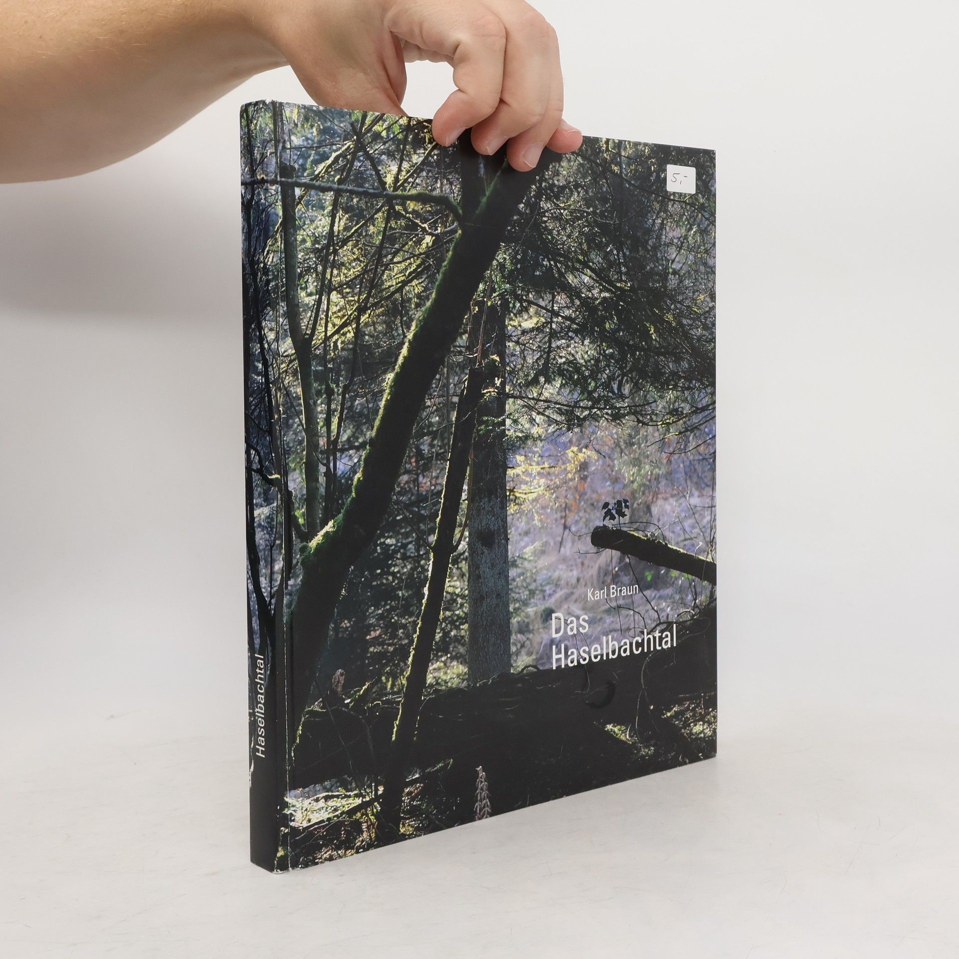 Karl Braun Das Haselbachtal