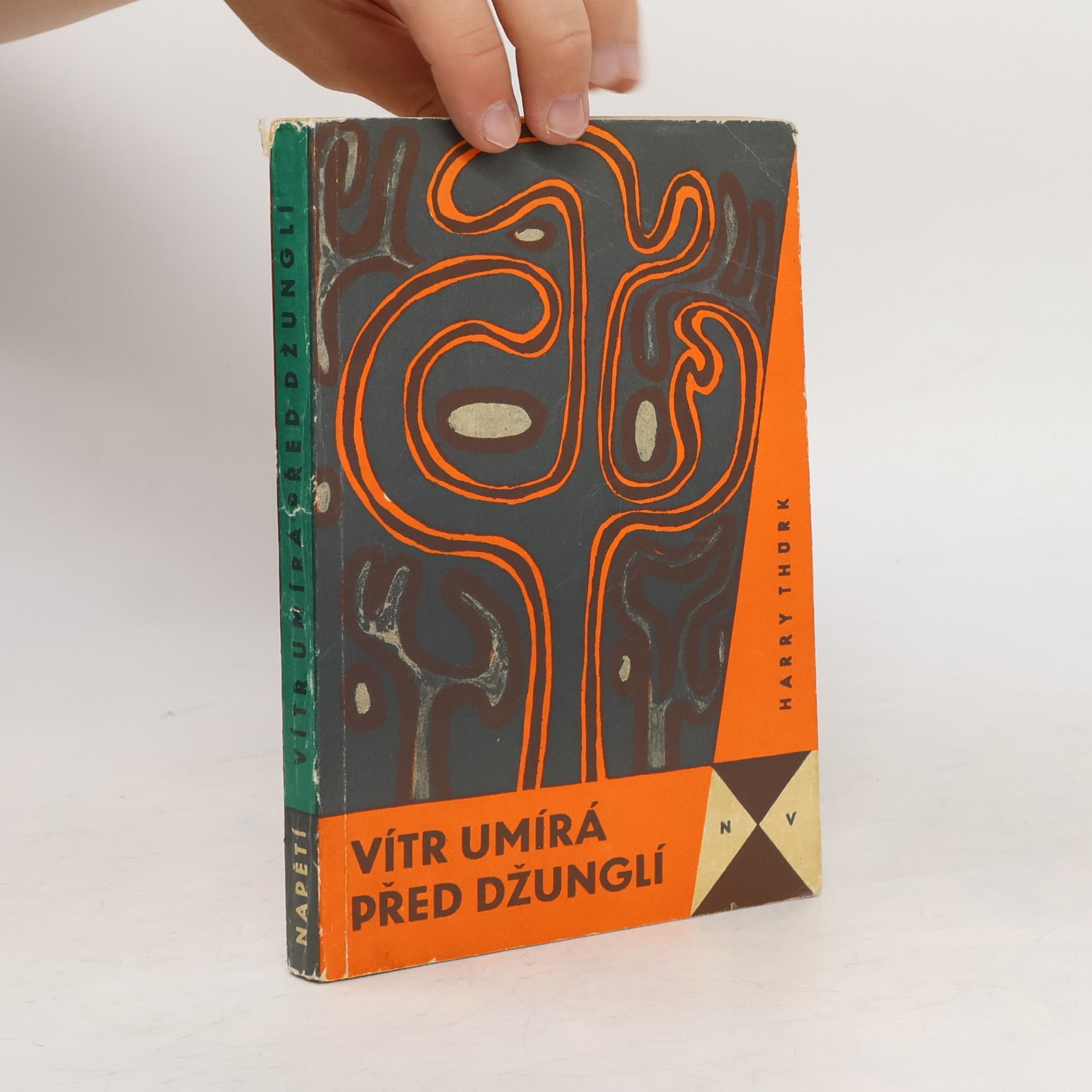 Vítr umírá před džunglí