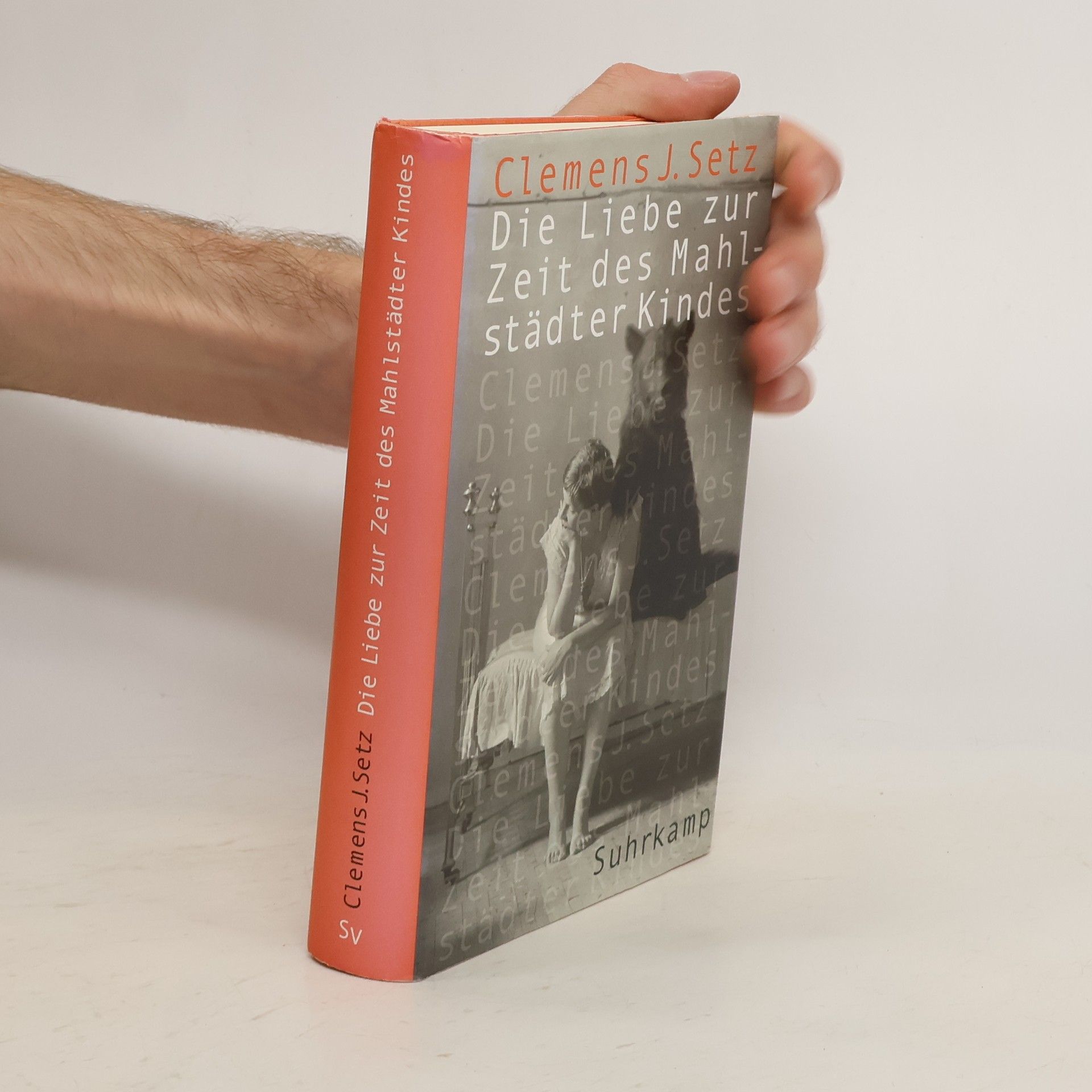 Clemens J. Setz Die Liebe zur Zeit des Mahlstädter Kindes