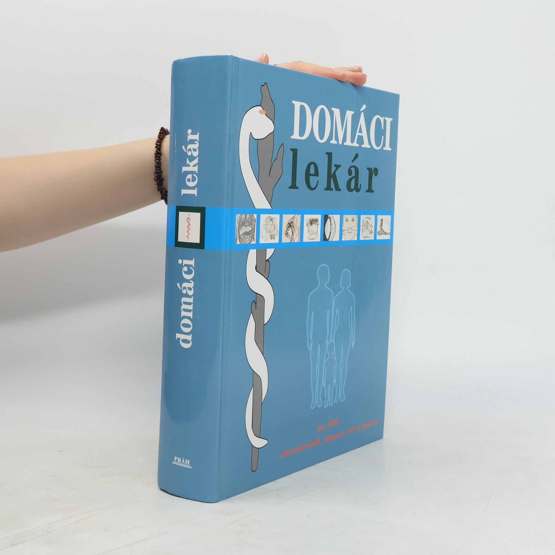 Kolektiv autorů Rodinná domácí apatyka : 1001 tip, jak si udržet dobré zdraví