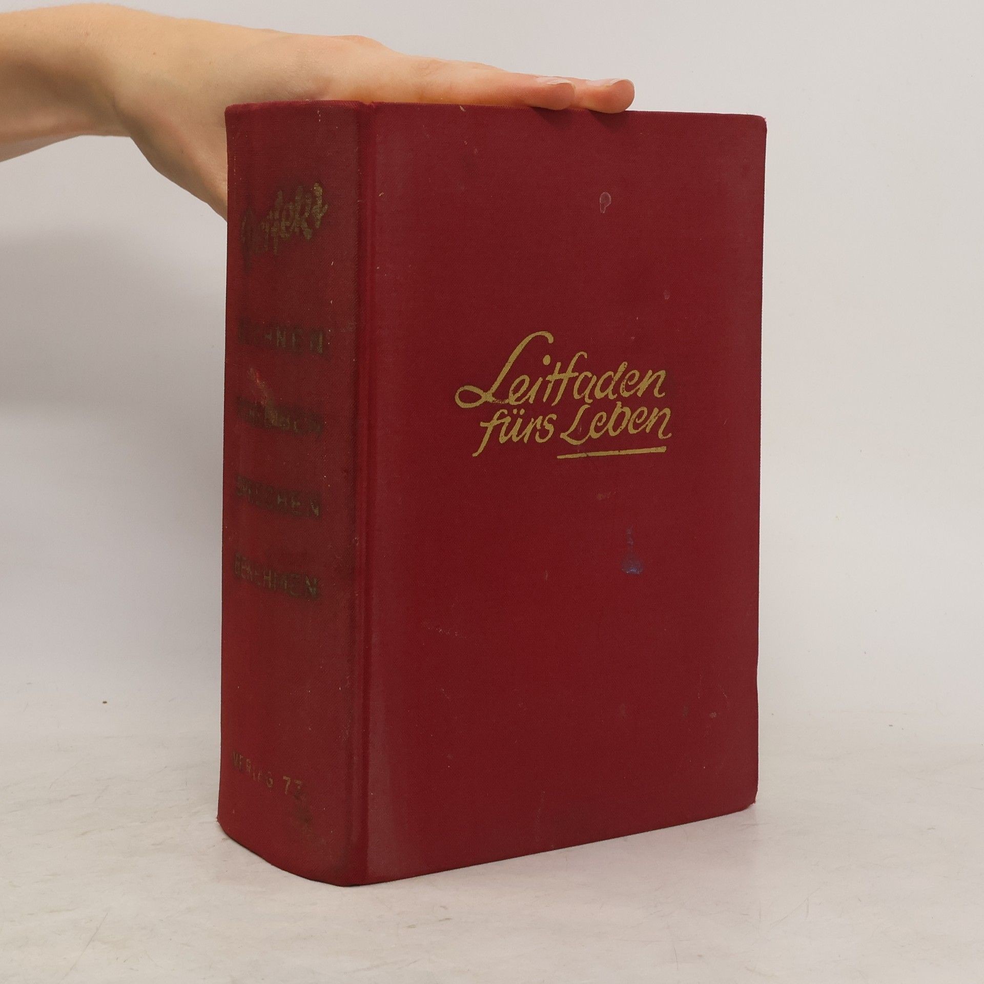 Kolektiv autorů Ein Leitfaden fürs Leben