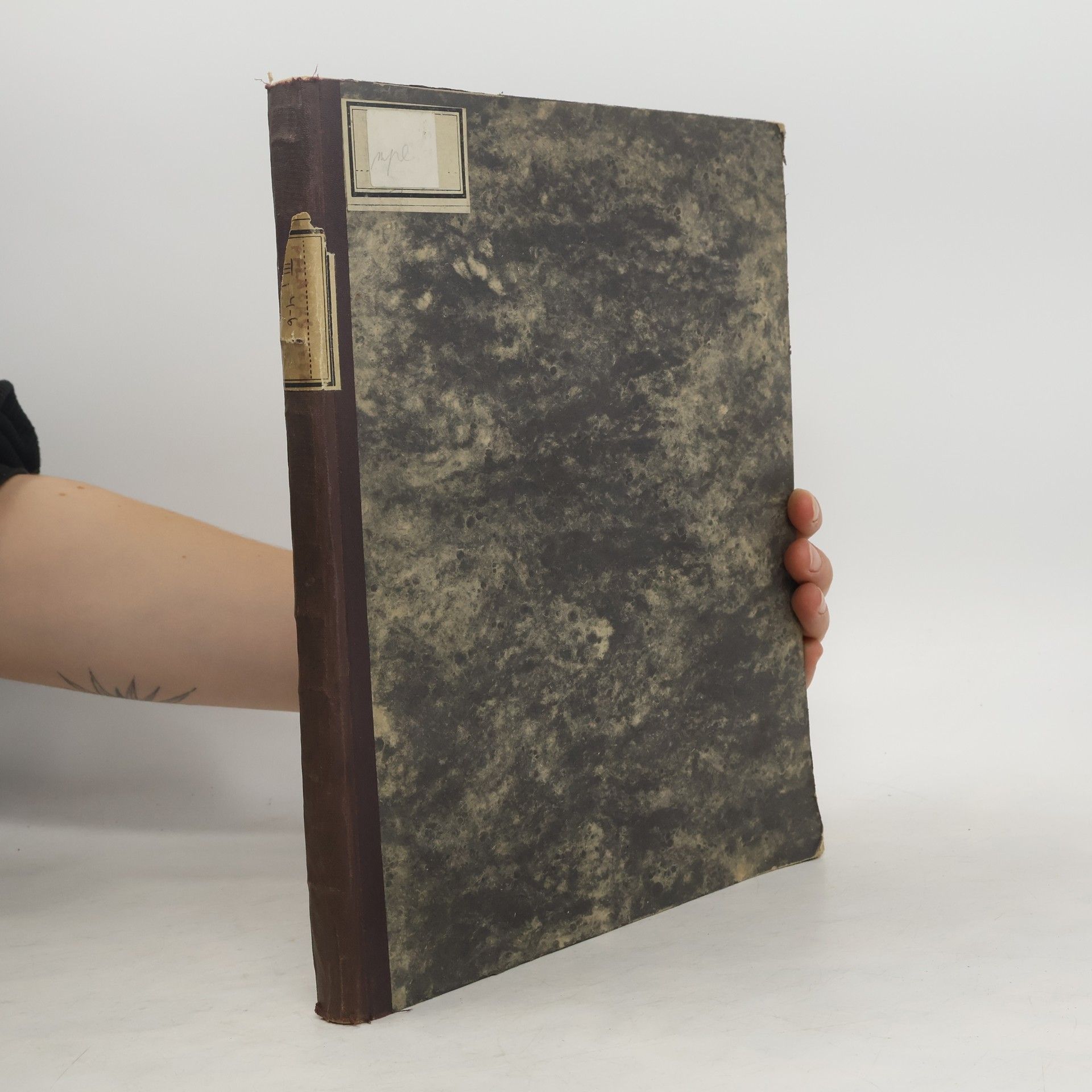 Autores varios Prameny dějin českých