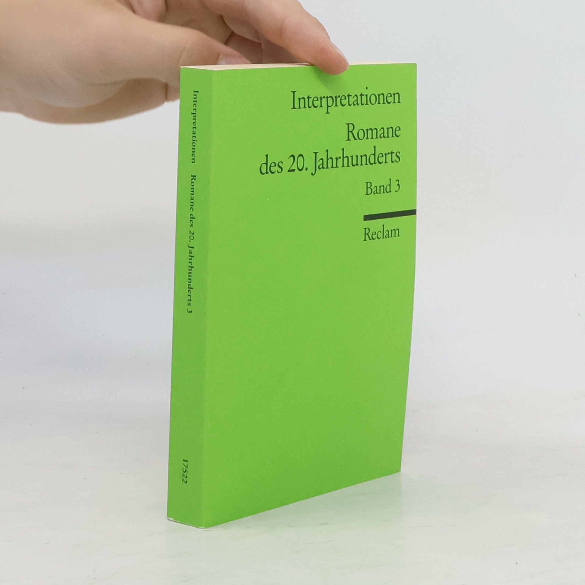 Autorenkollektiv Romane des 20. Jahrhunderts - 3: Interpretationen