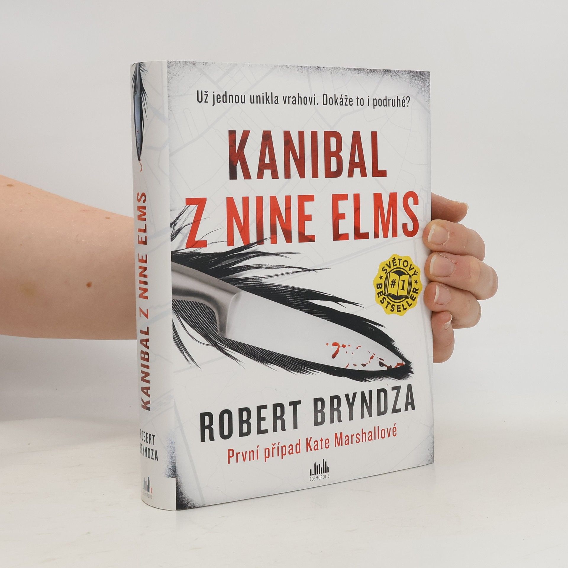Robert Bryndza Kanibal z Nine Elms