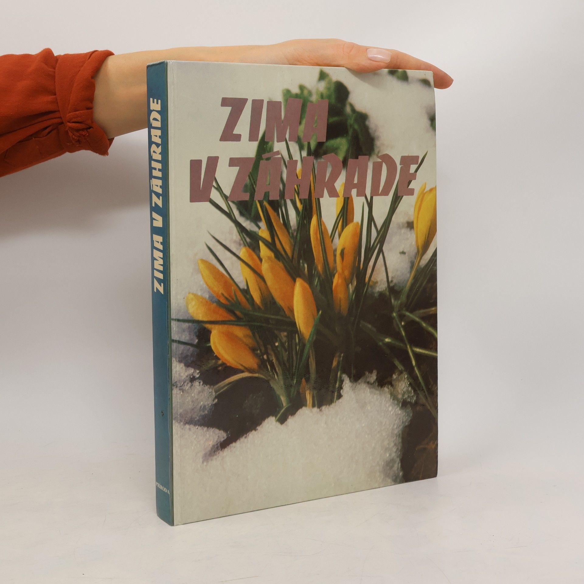 Dora Sopčáková Zima v záhrade