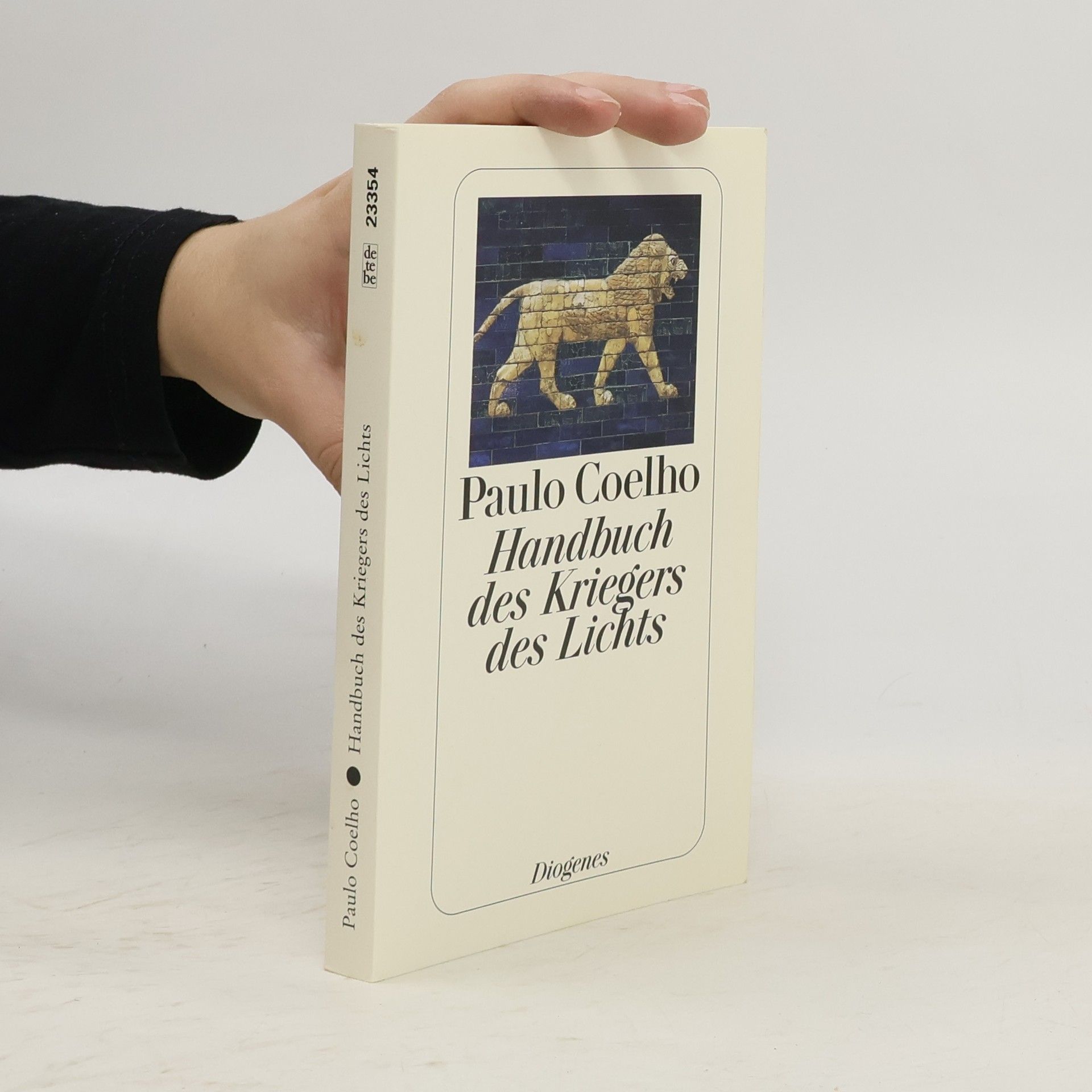 Paulo Coelho Handbuch des Kriegers des Lichts