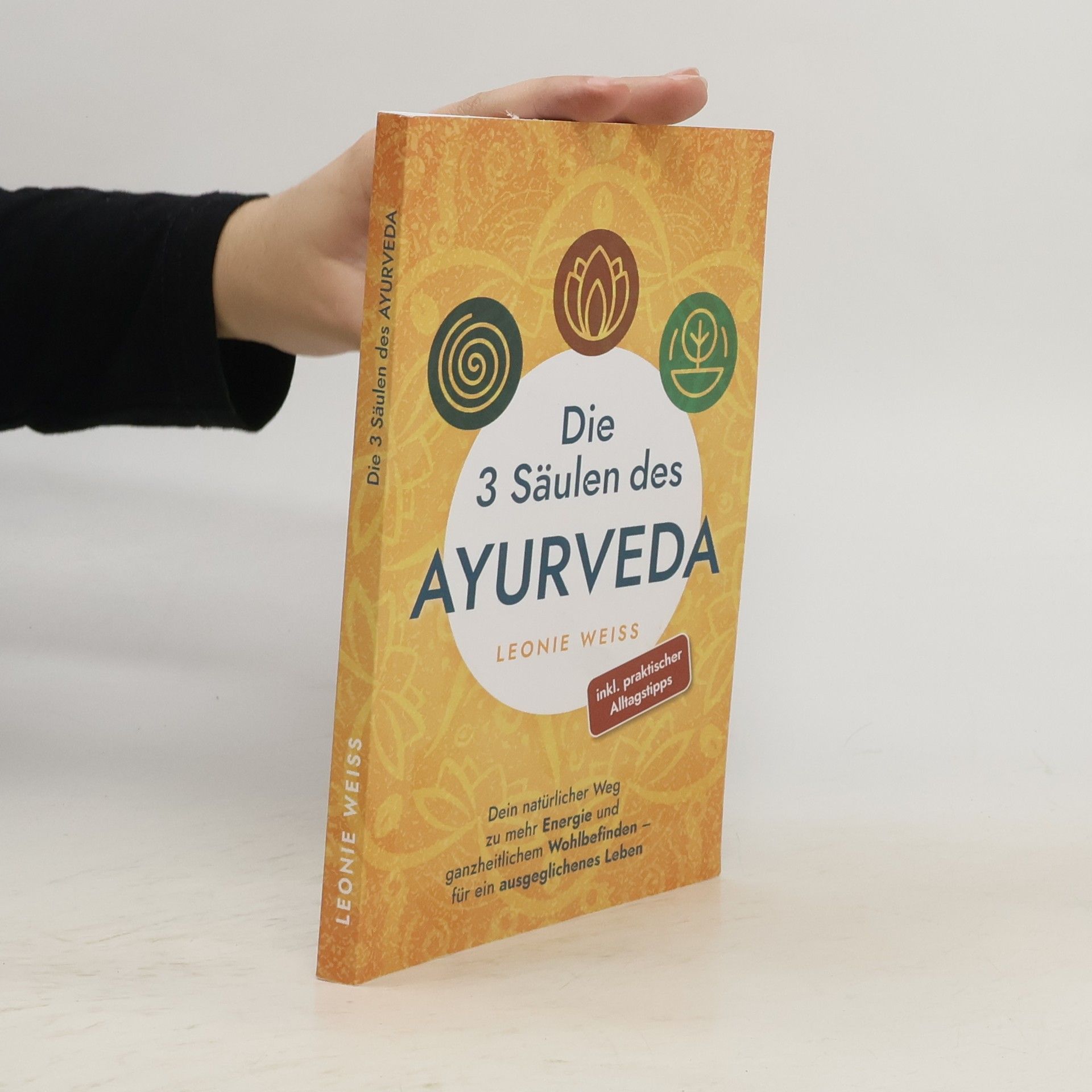 Die 3 Säulen des Ayurveda