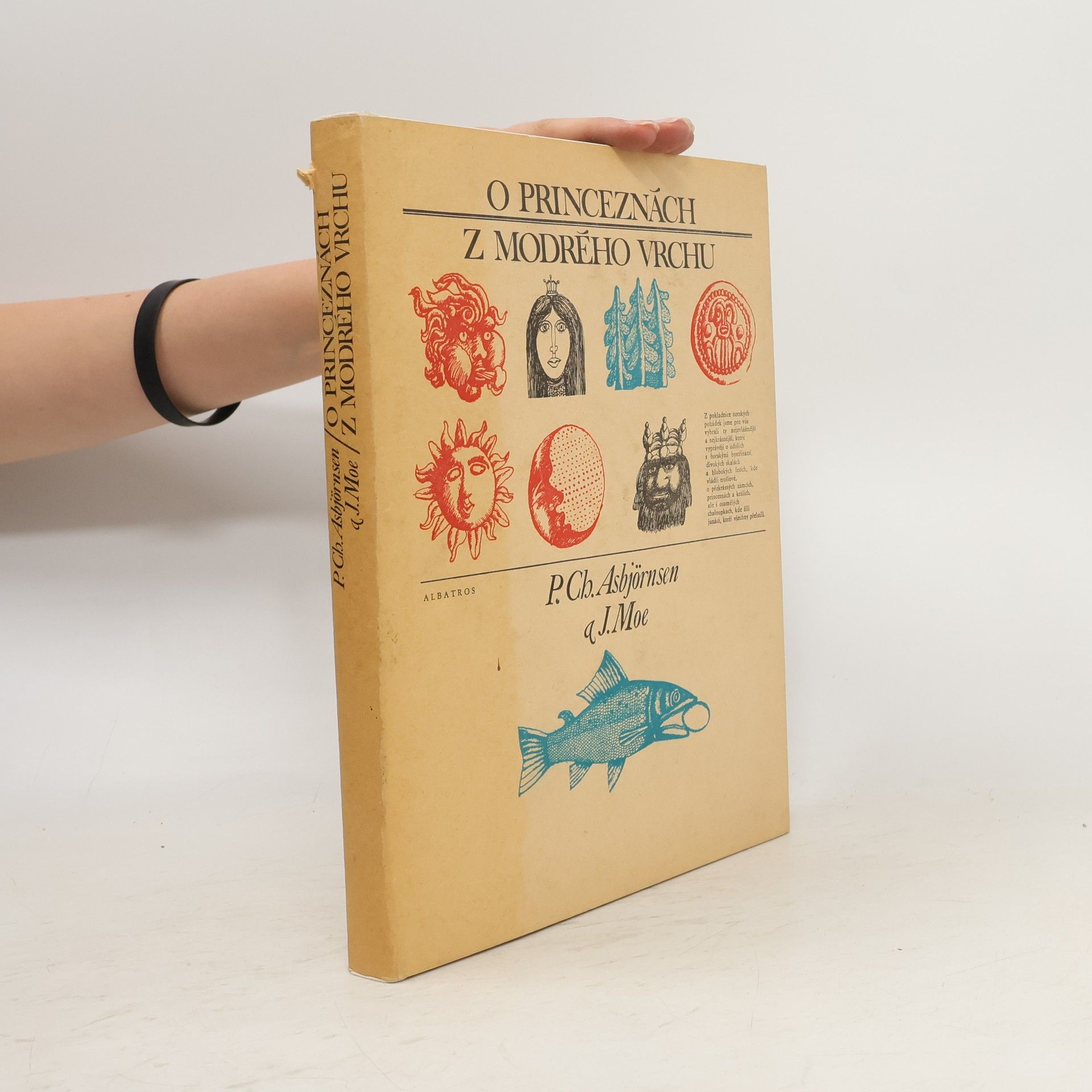 Moe Jörgen Asbjörnsen P. Ch. O princeznách z modrého vrchu