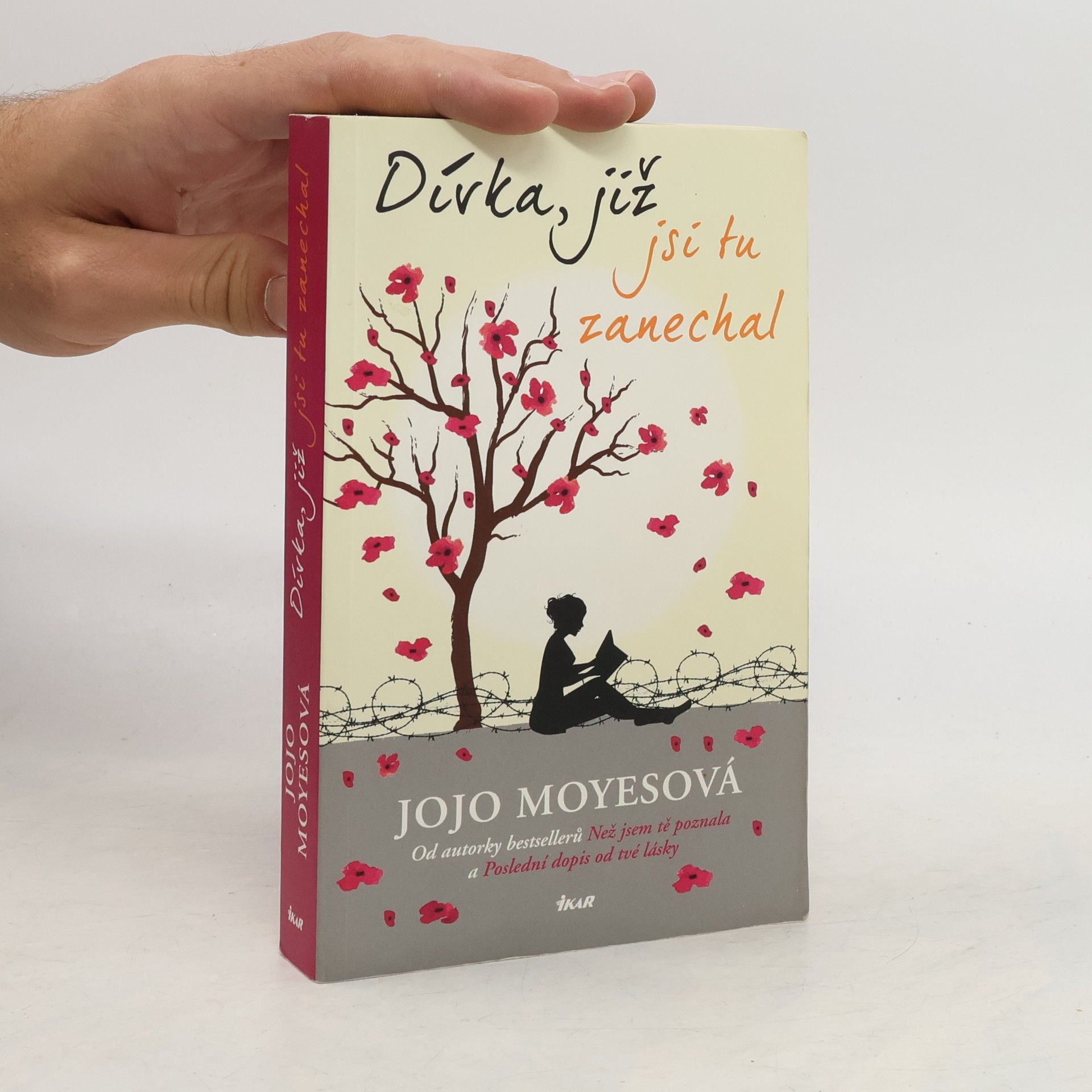 Jojo Moyes Dívka, již jsi tu zanechal