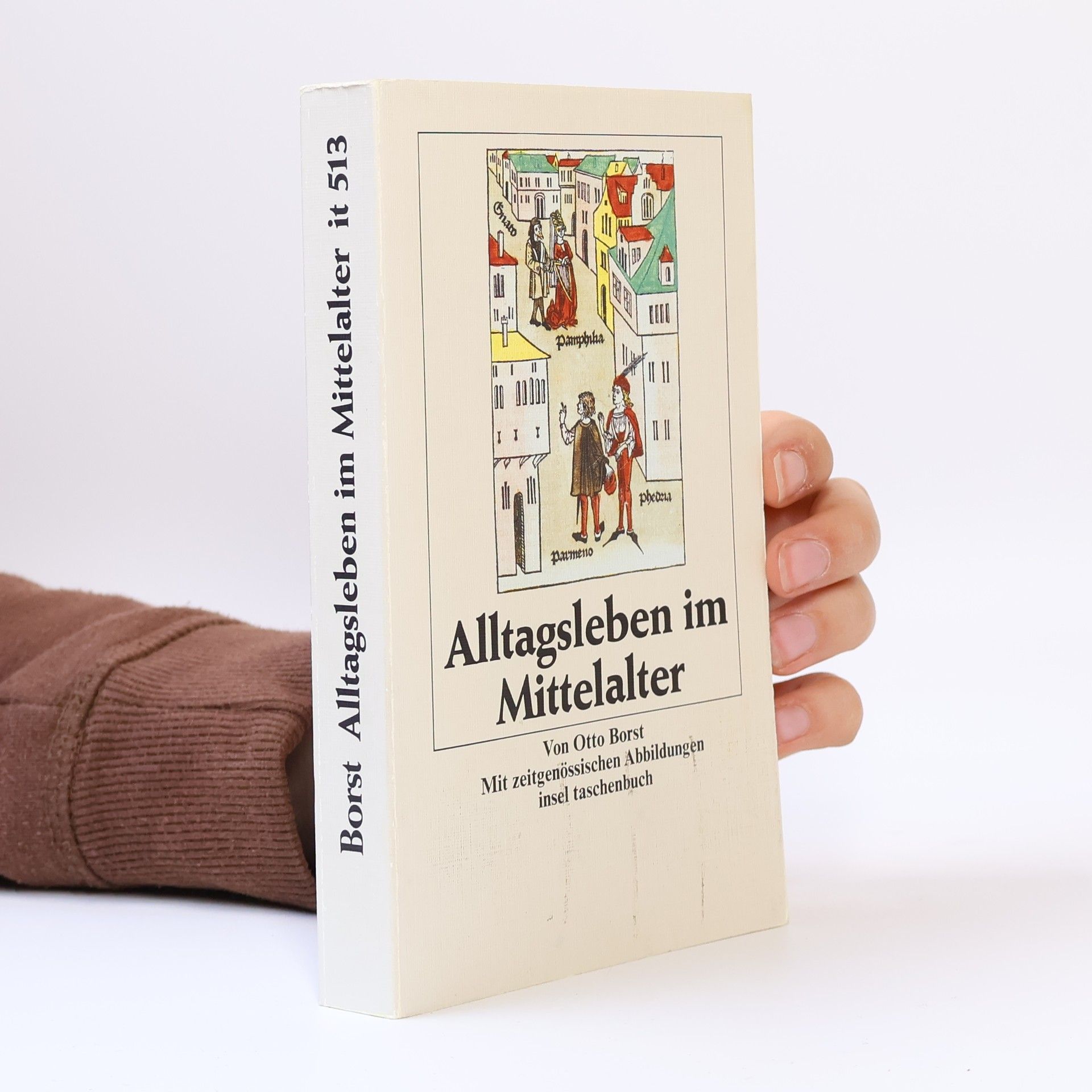 Otto Borst Alltagsleben im Mittelalter