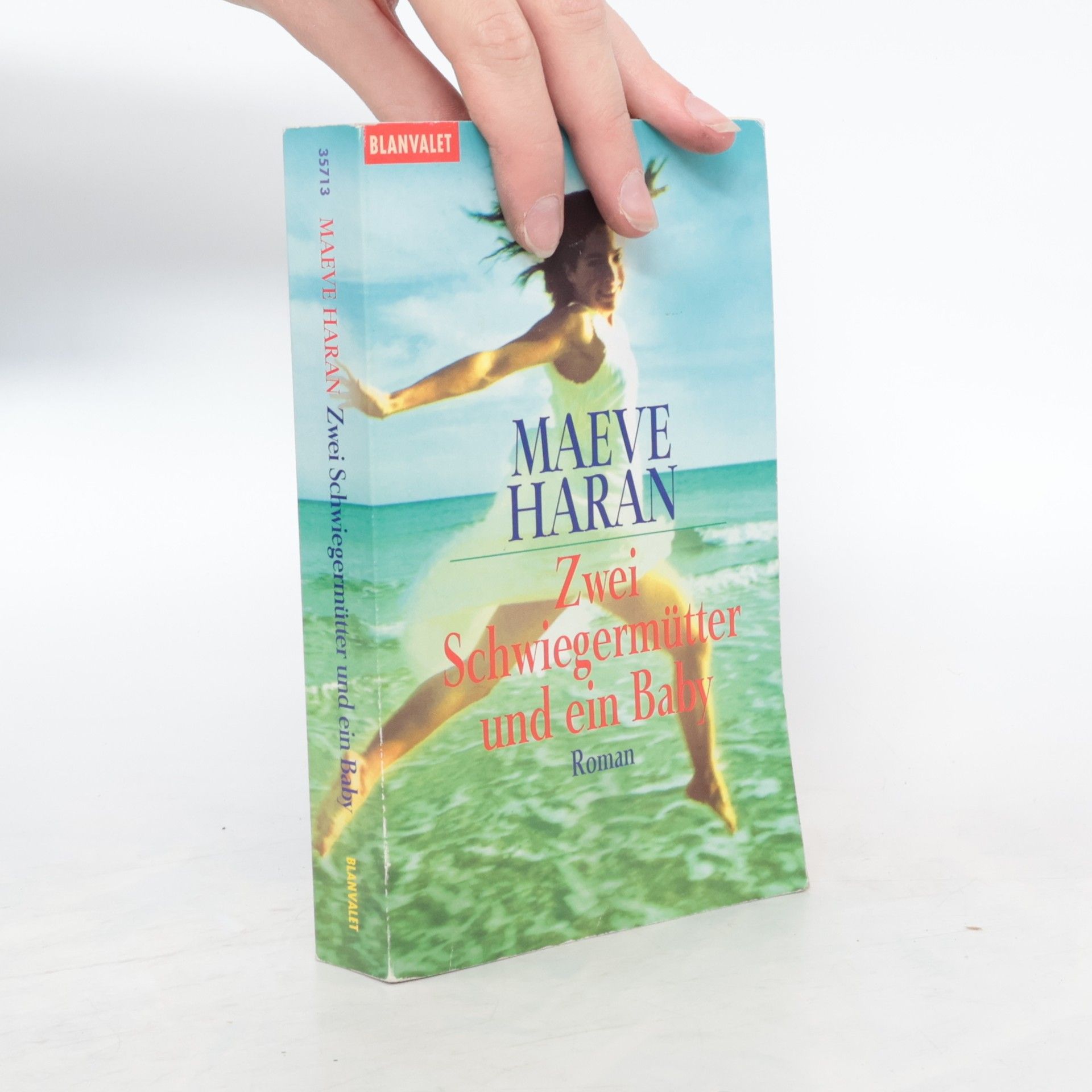 Maeve Haran Zwei Schwiegermütter und ein Baby