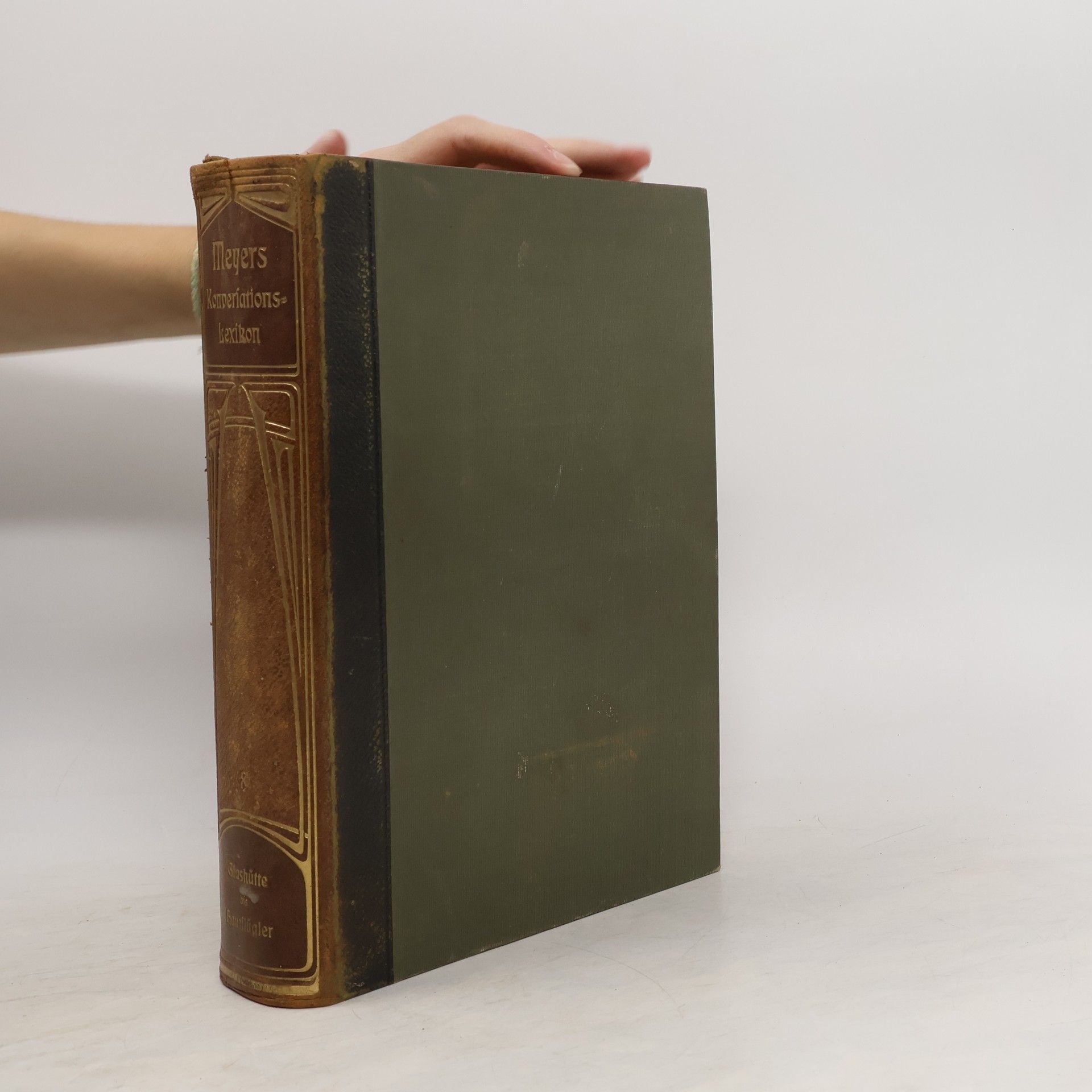Kolektiv autorů Meyers Großes Konversations-Lexikon 8