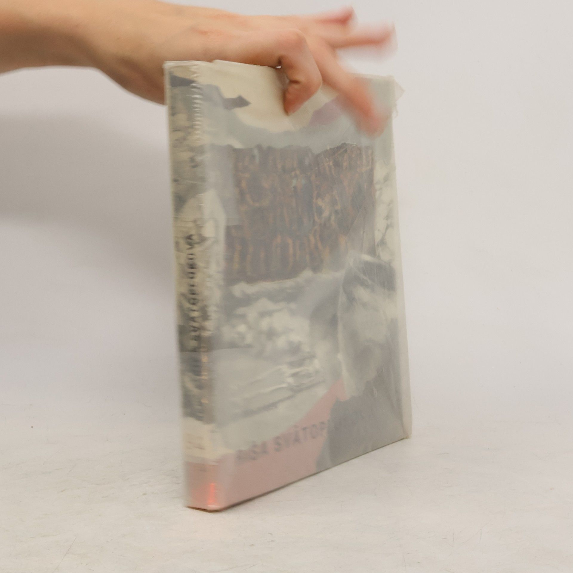 Ríša Svätoplukova