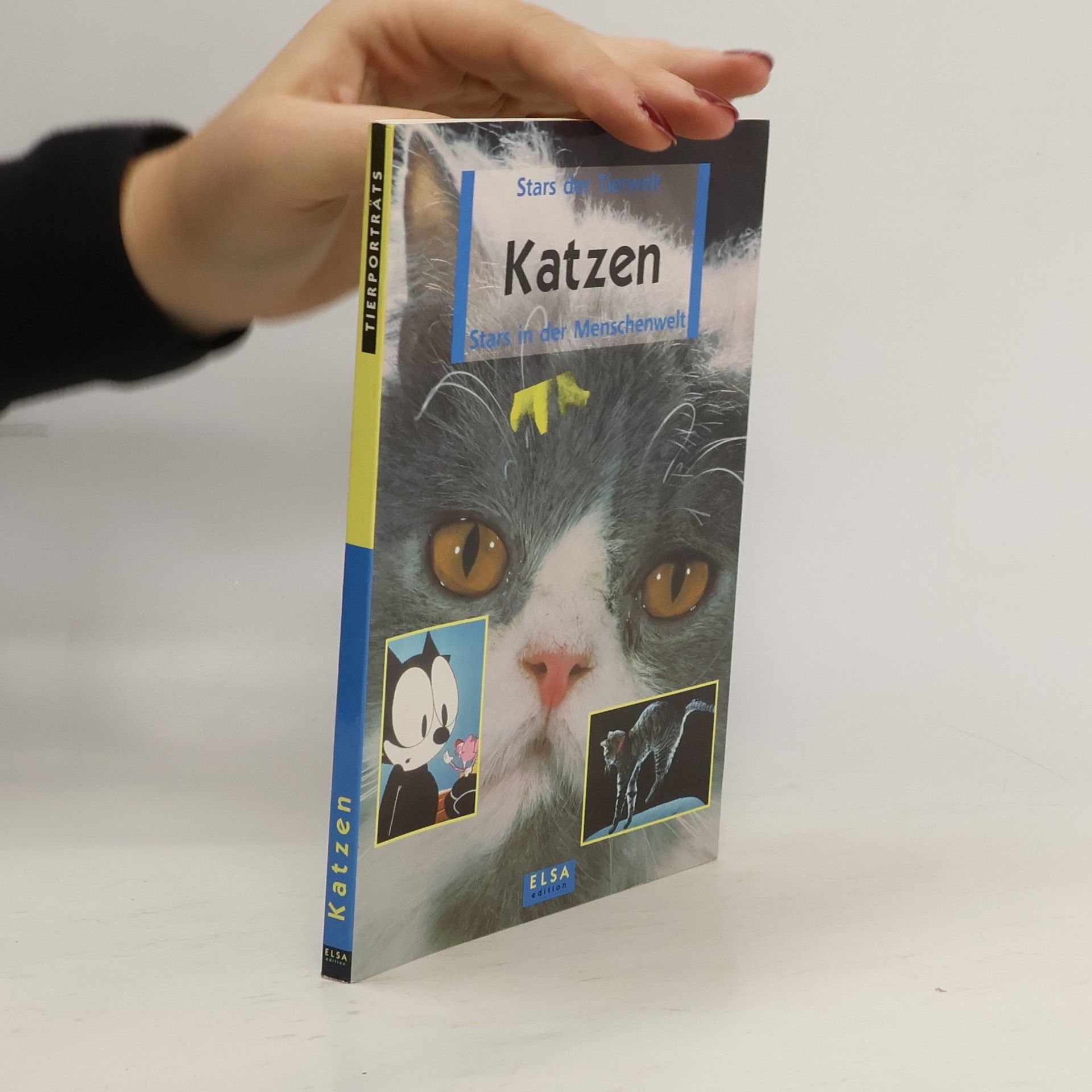 Collectif d'auteurs Katzen