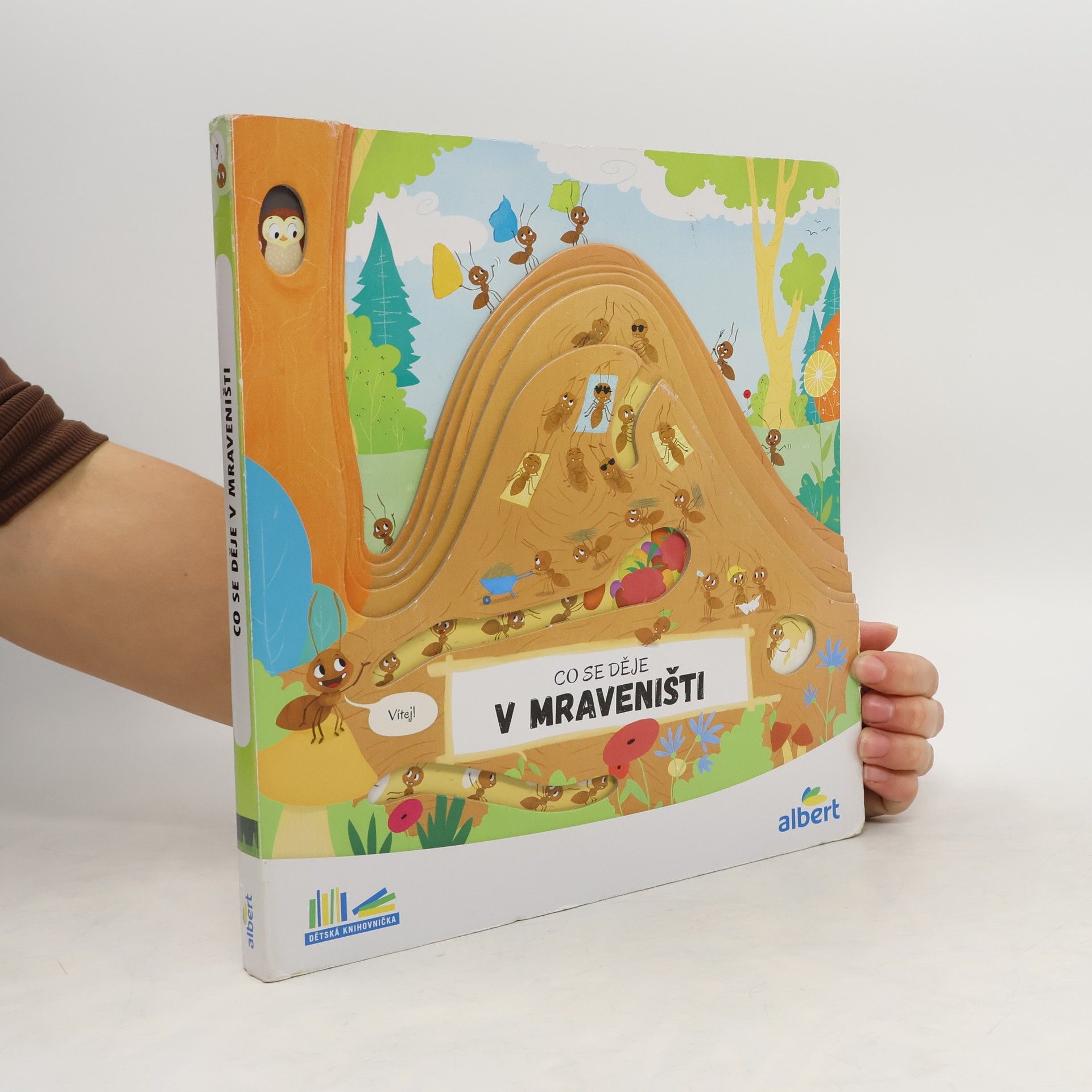 kolektiv Co se děje v mraveništi