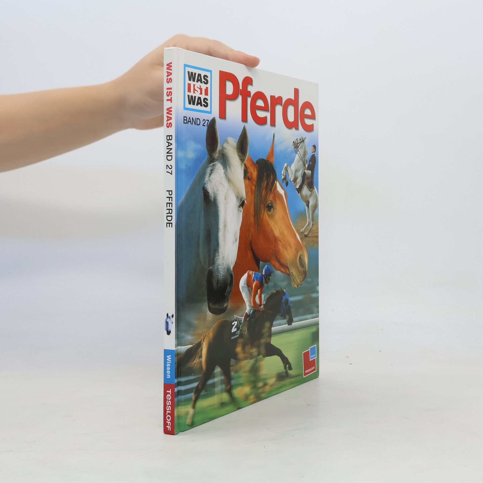 Kerstin Neumann Pferde