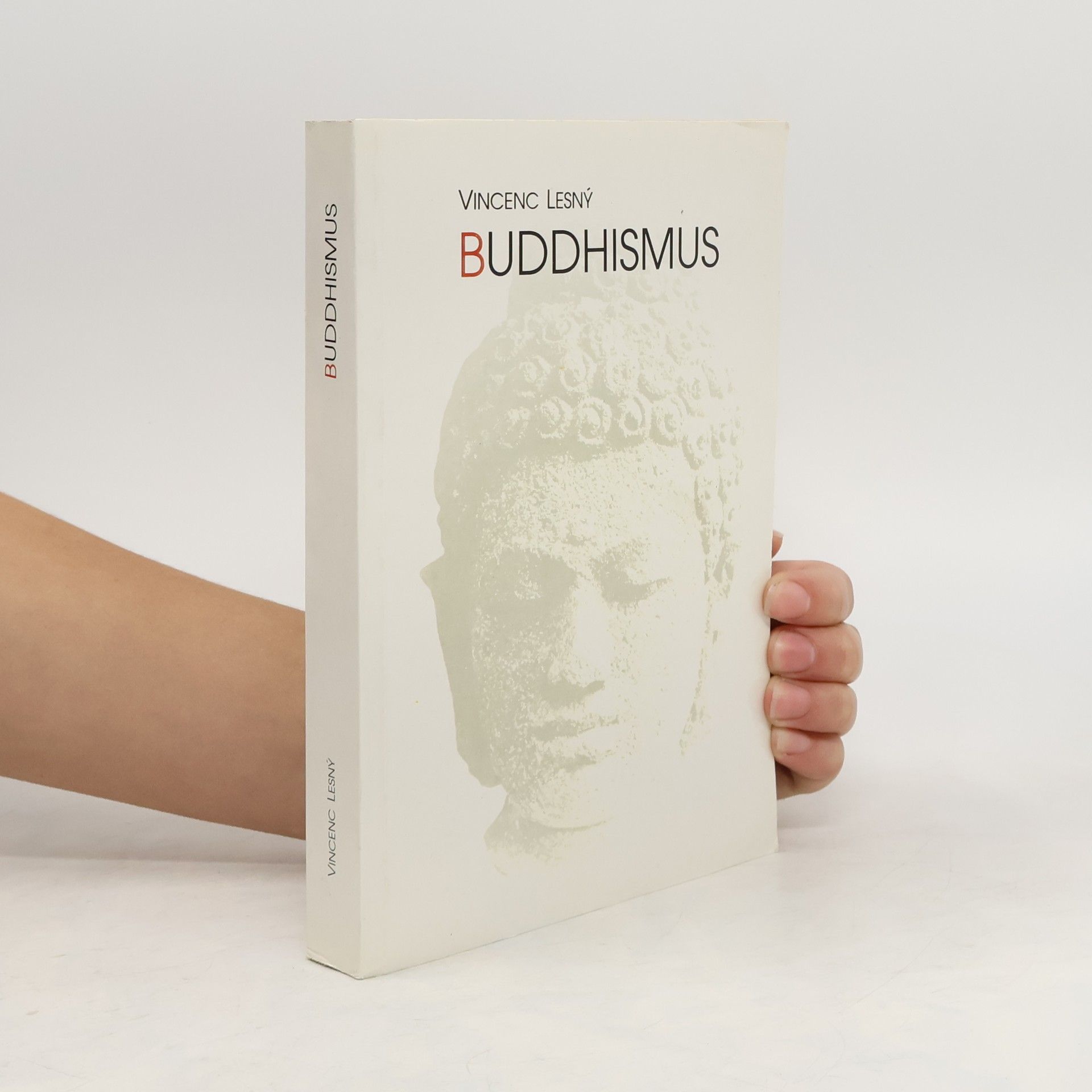 Vincenc Lesný Buddhismus