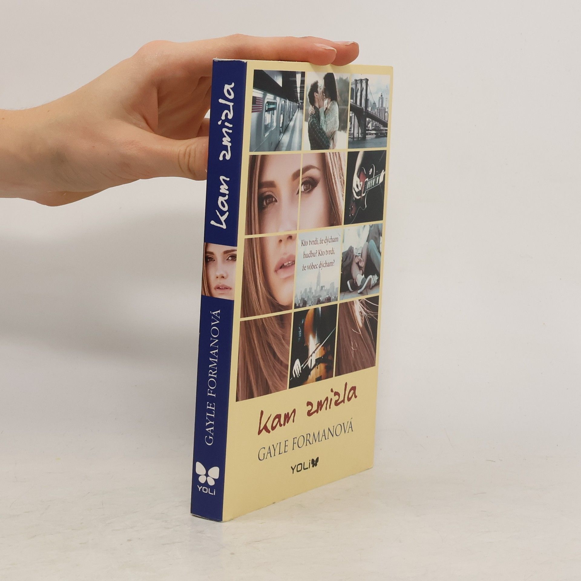 Gayle Forman Kam zmizla