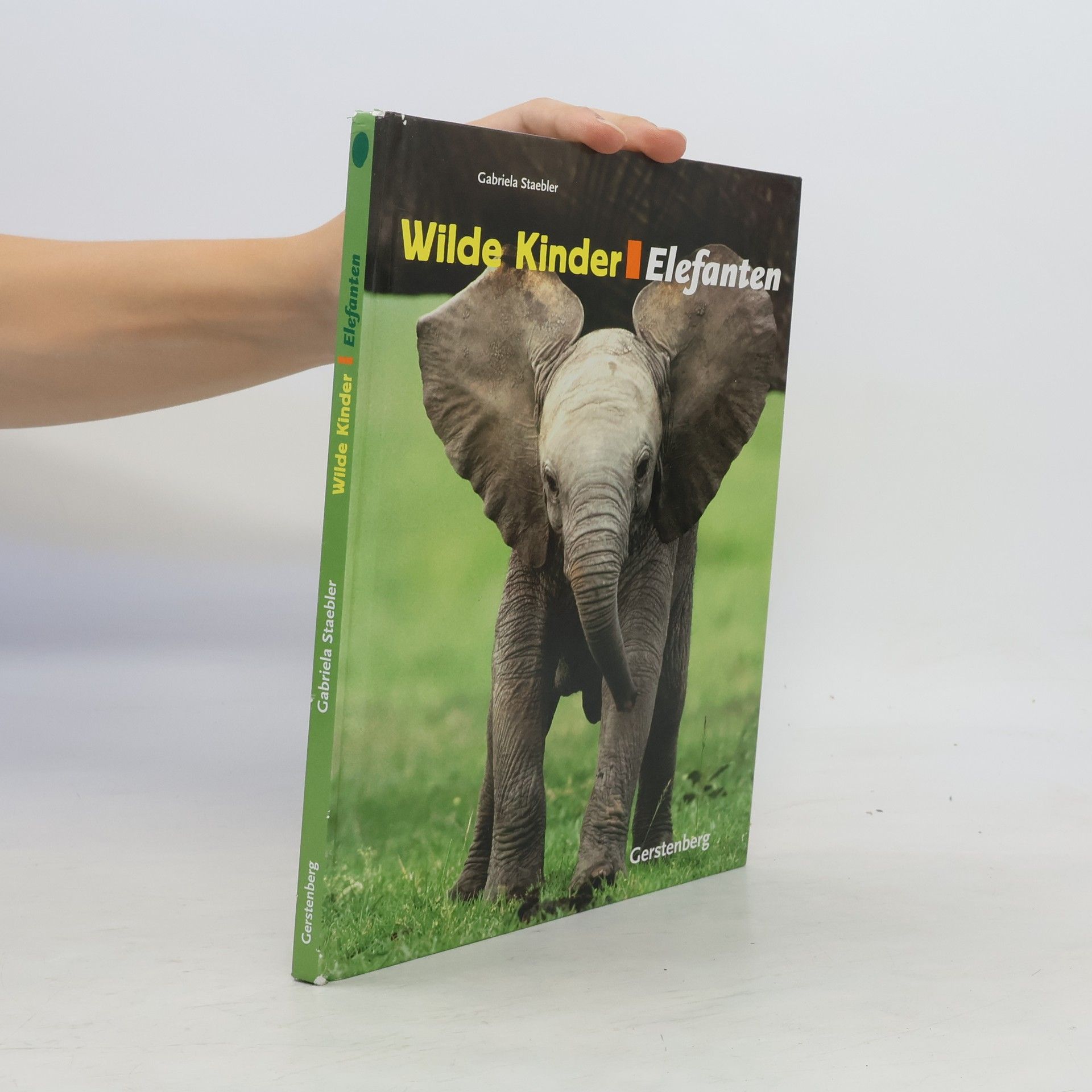 Wilde Kinder - Elefanten