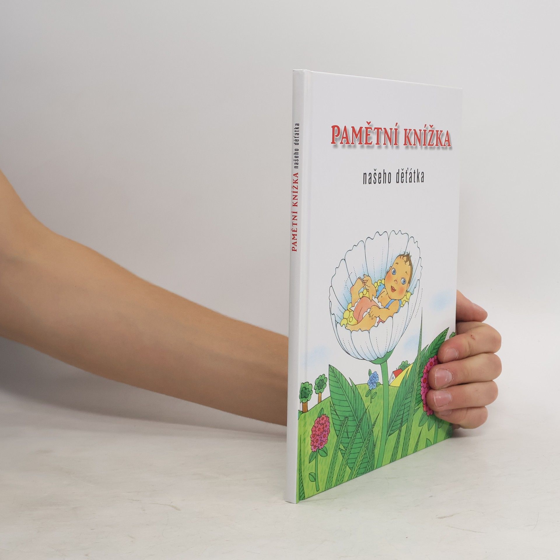 Kolektiv autorů Pamětní knížka našeho děťátka