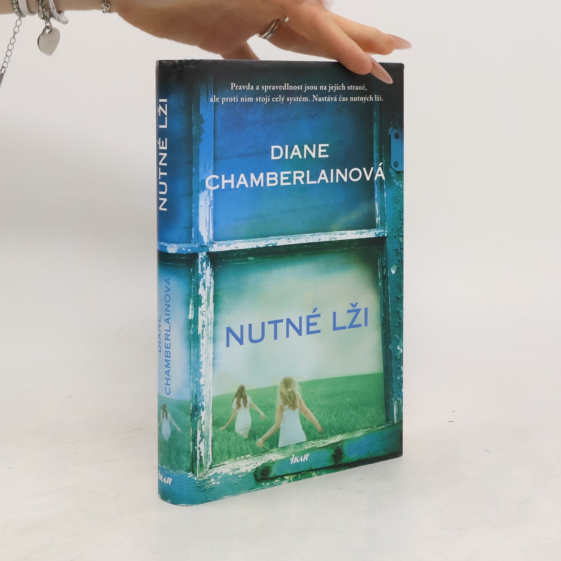 Diane Chamberlain Nutné lži