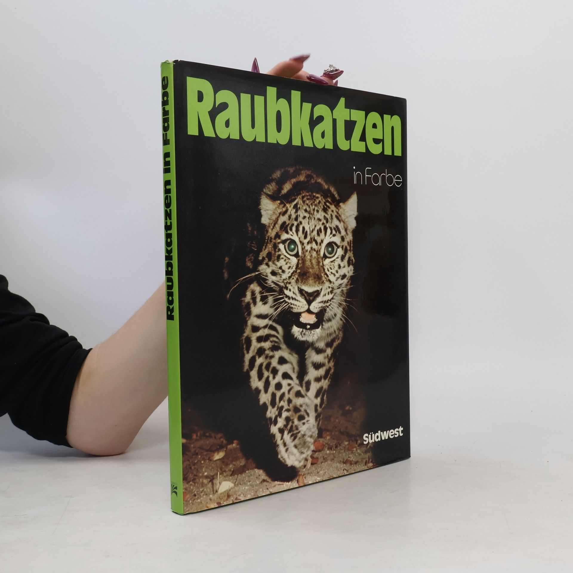 Guido Badino Raubkatzen in Farbe