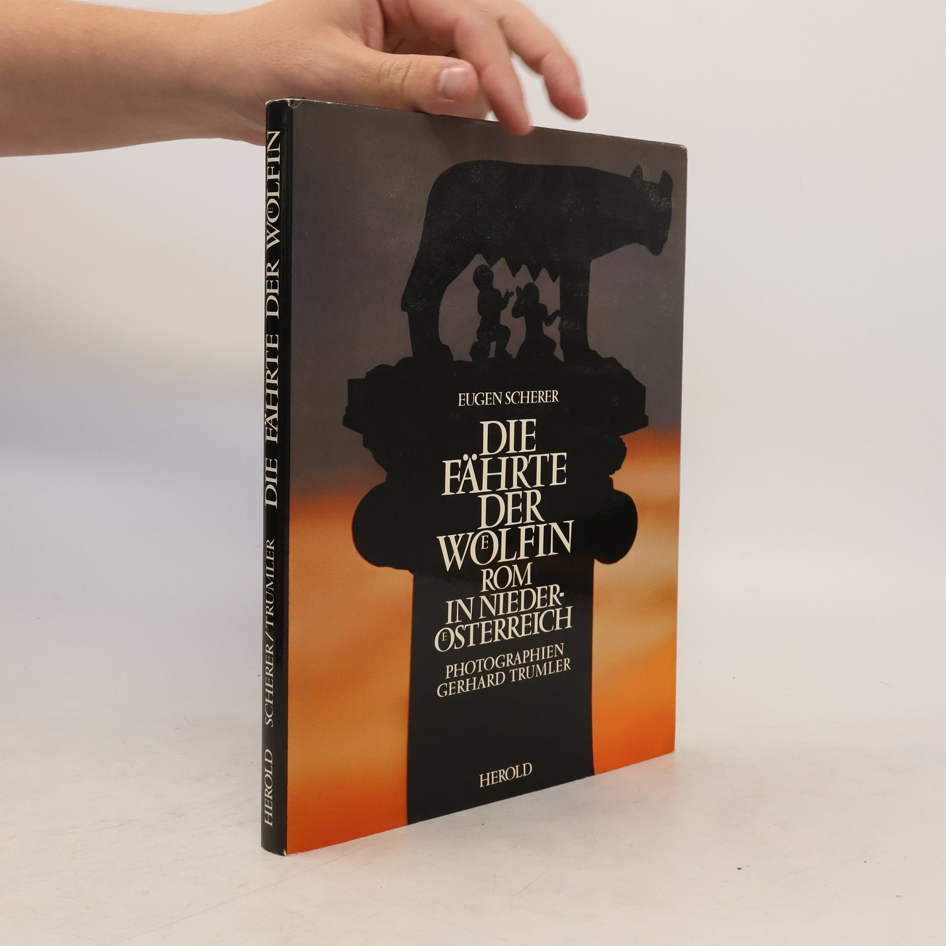 Eugen Scherer Die Fährte der Wölfin