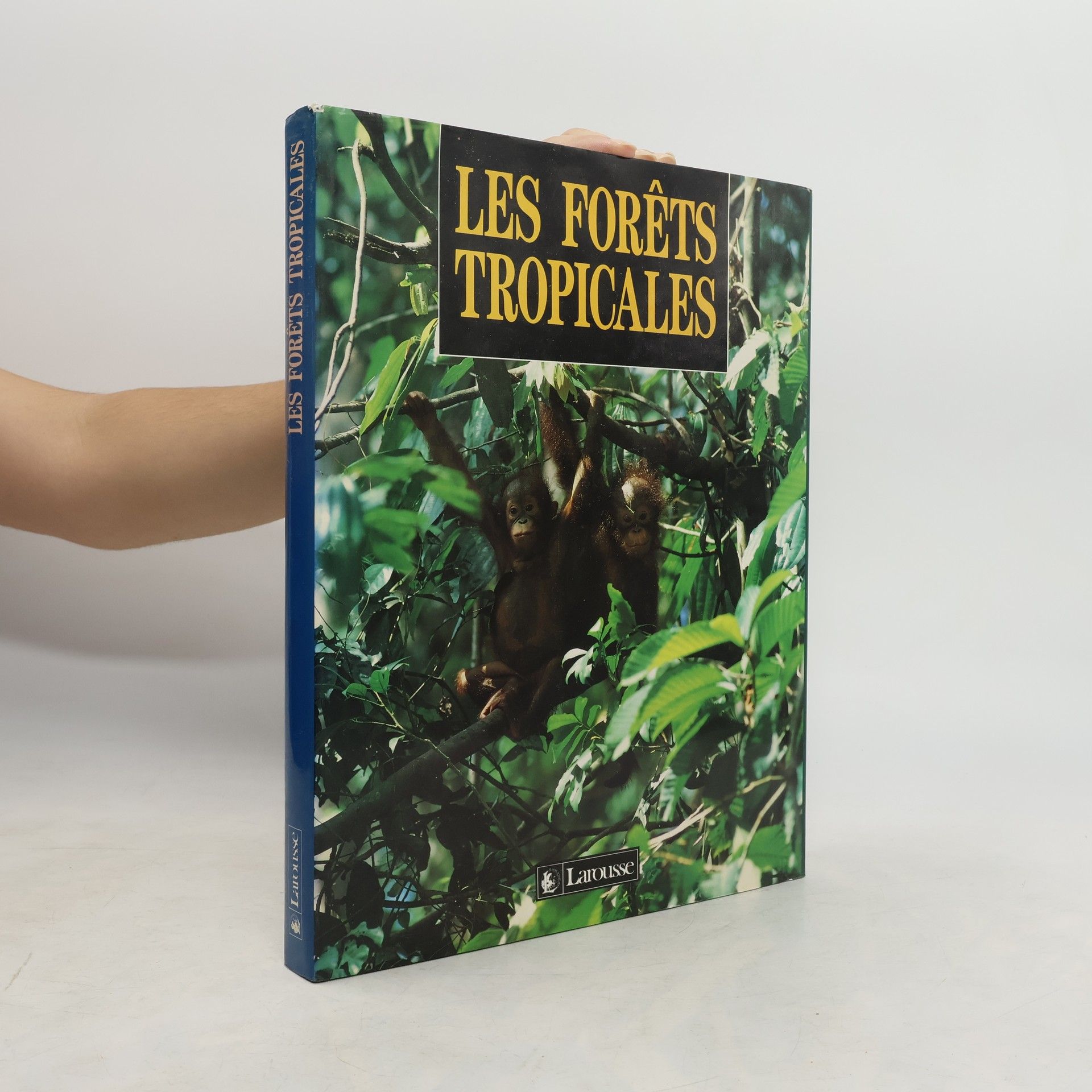 Les forêts tropicales