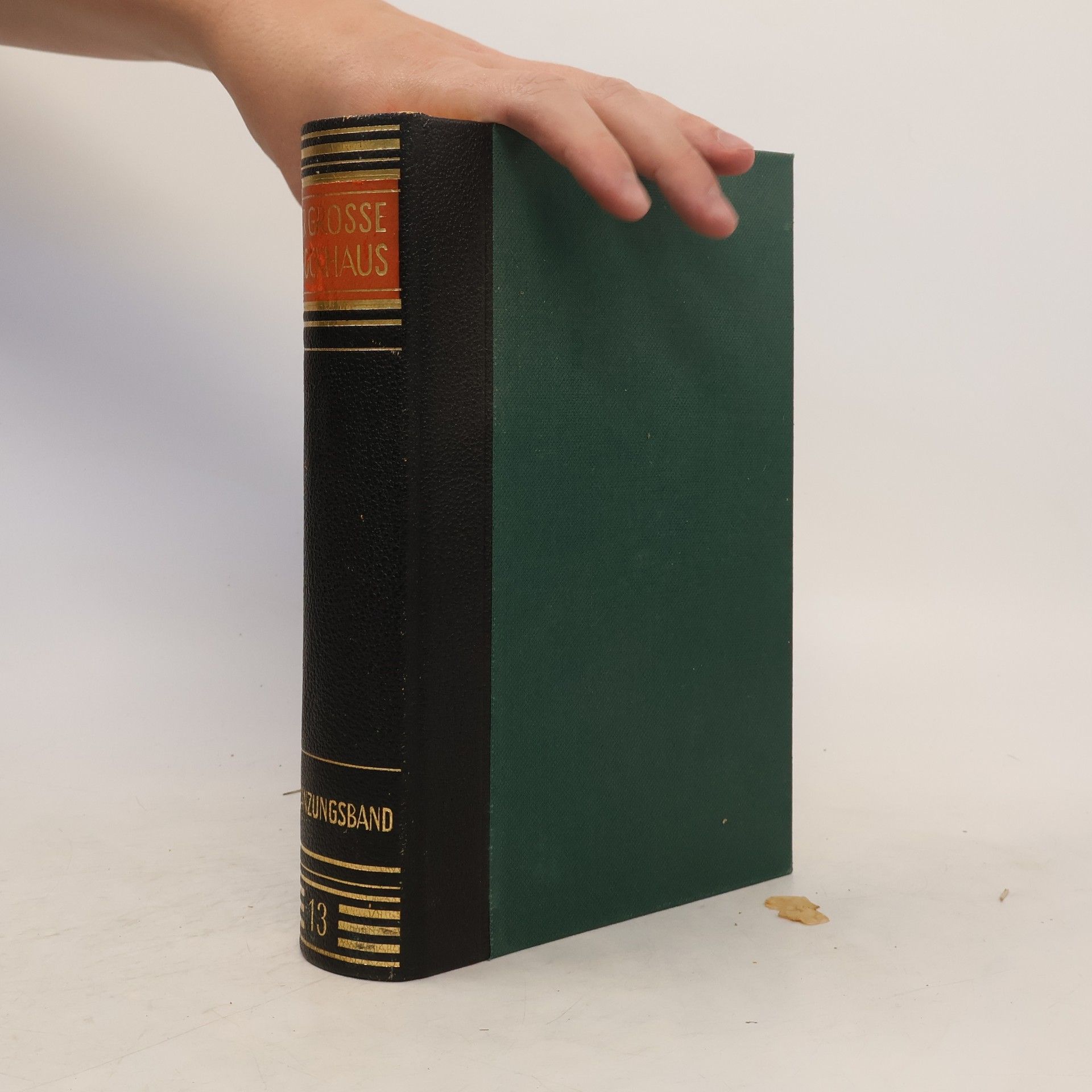 AA.VV. Der Grosse Brockhaus 13.