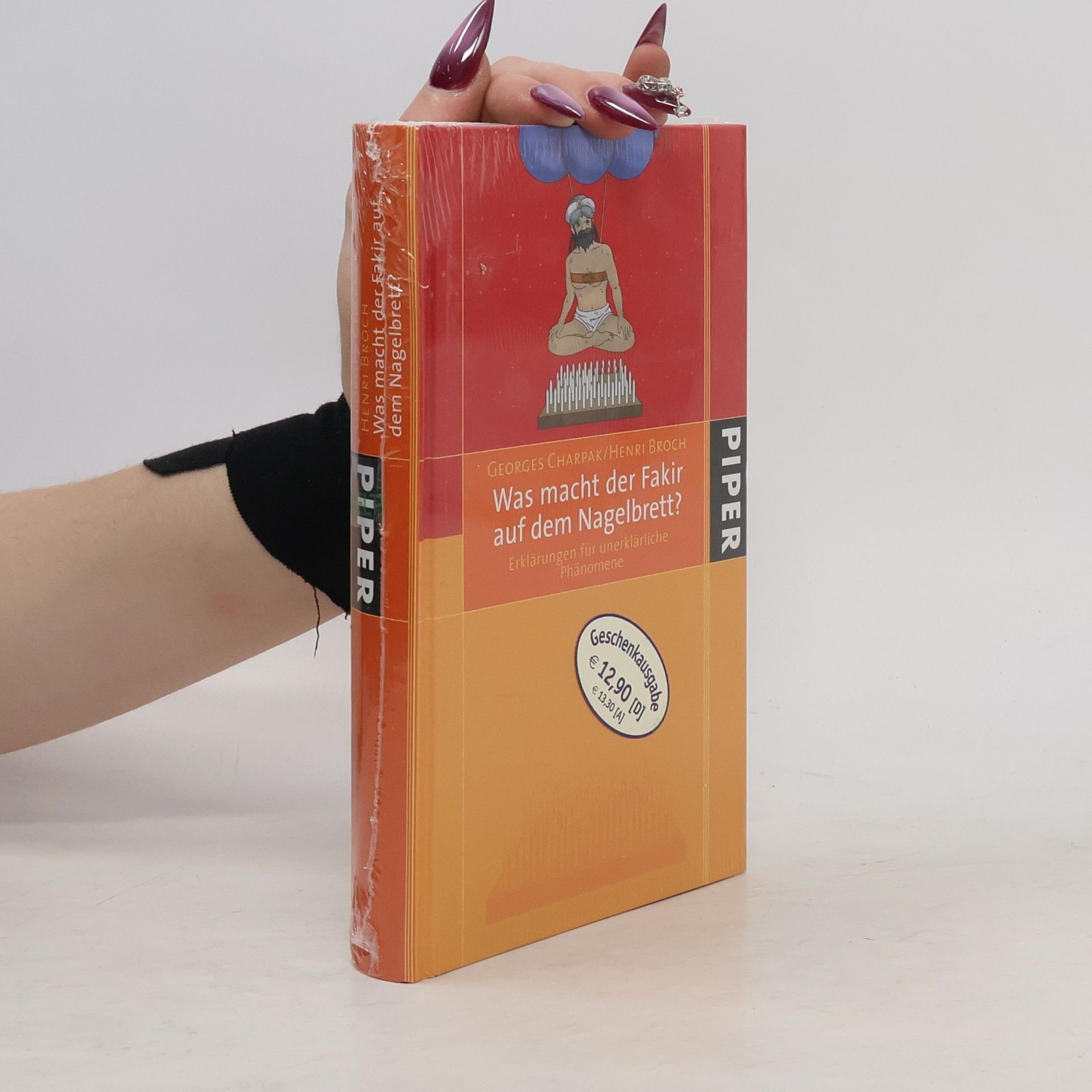 Georges Charpak Was macht der Fakir auf dem Nagelbrett?