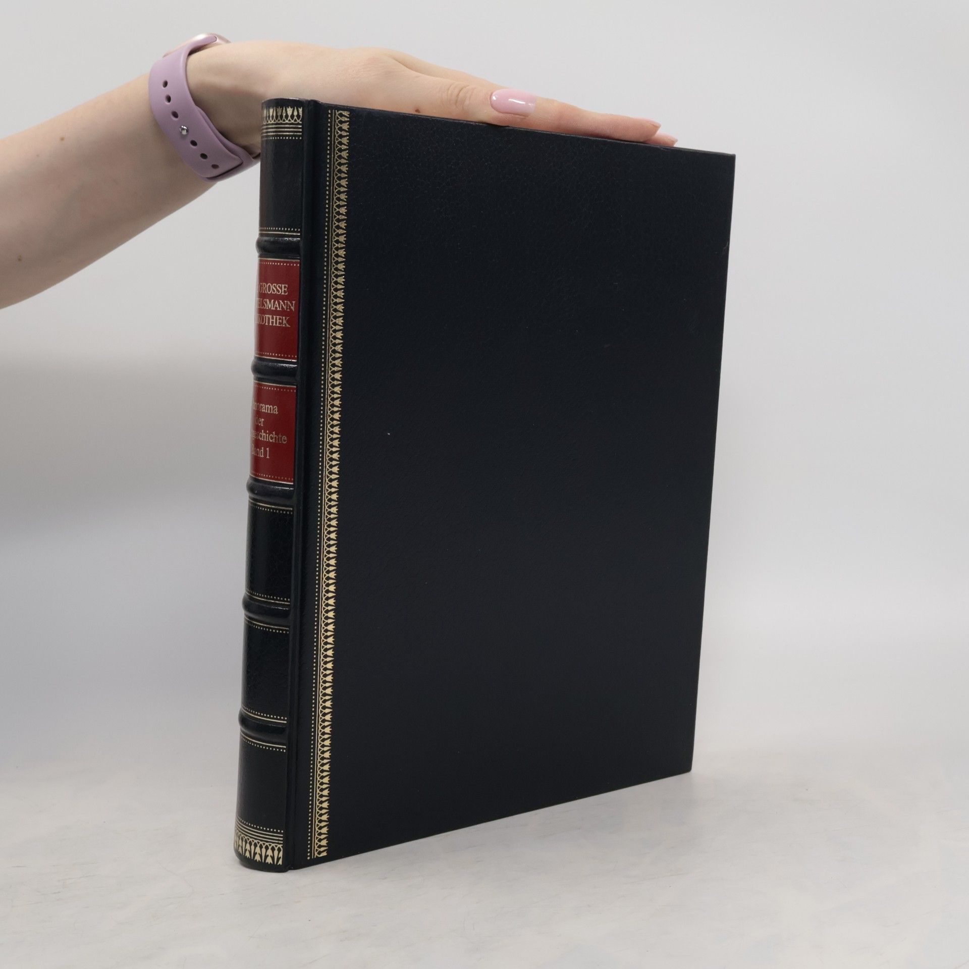 Autorenkollektiv Panorama der Weltgeschichte Band I