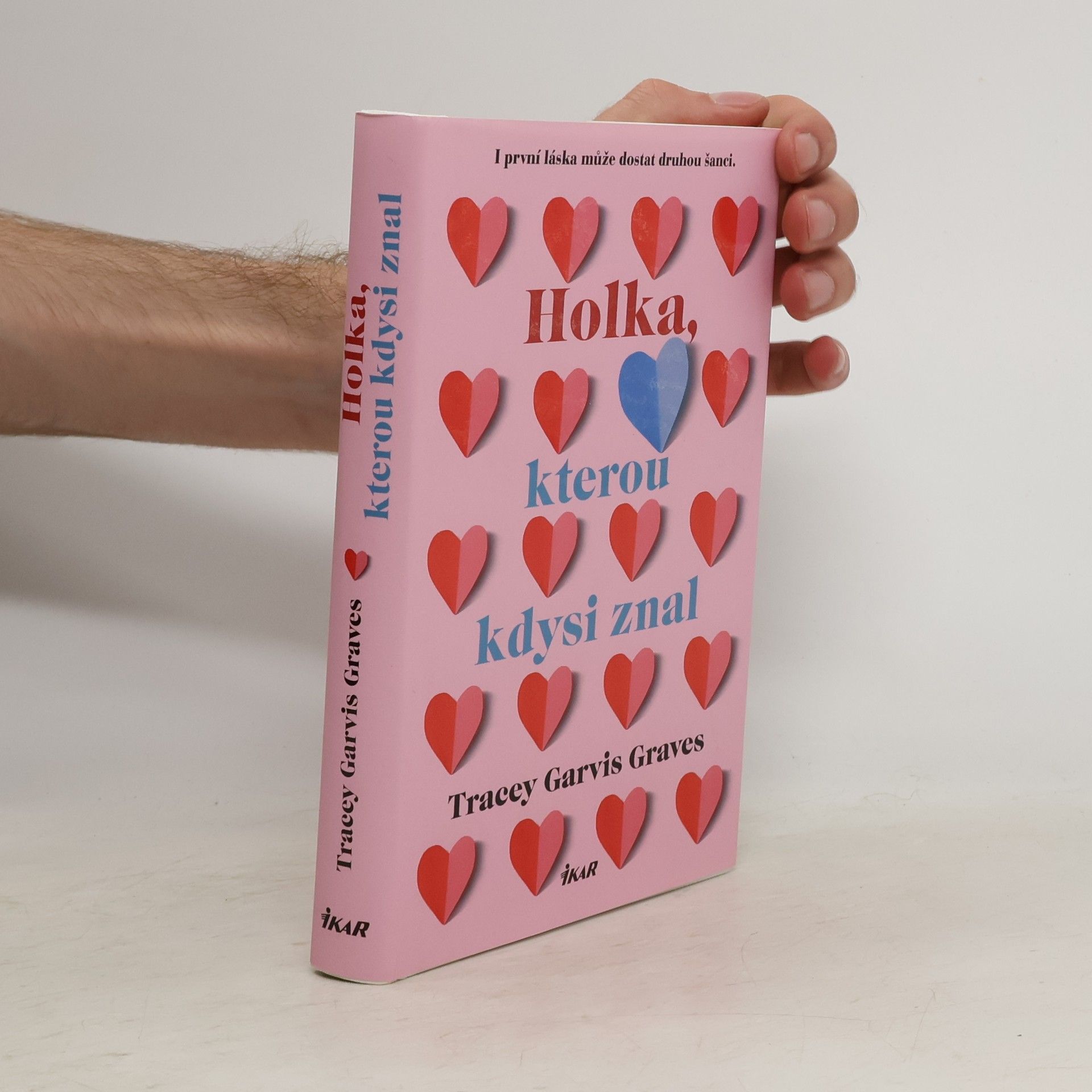 Tracey Garvis Graves Holka, kterou kdysi znal