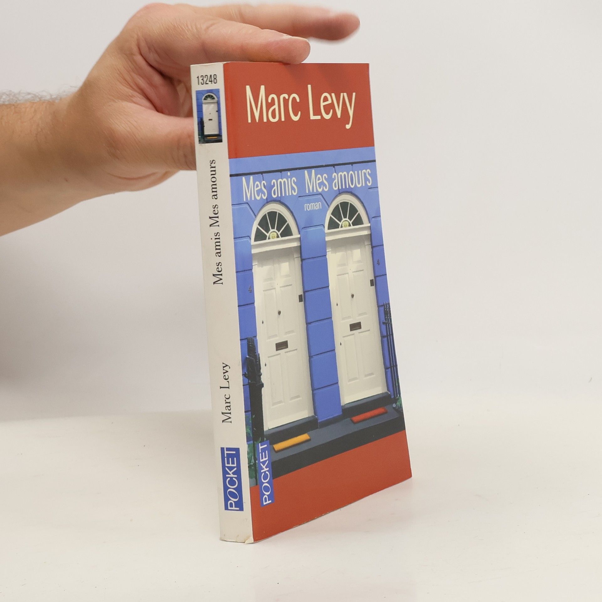 Marc Lévy Mes amis, mes amours