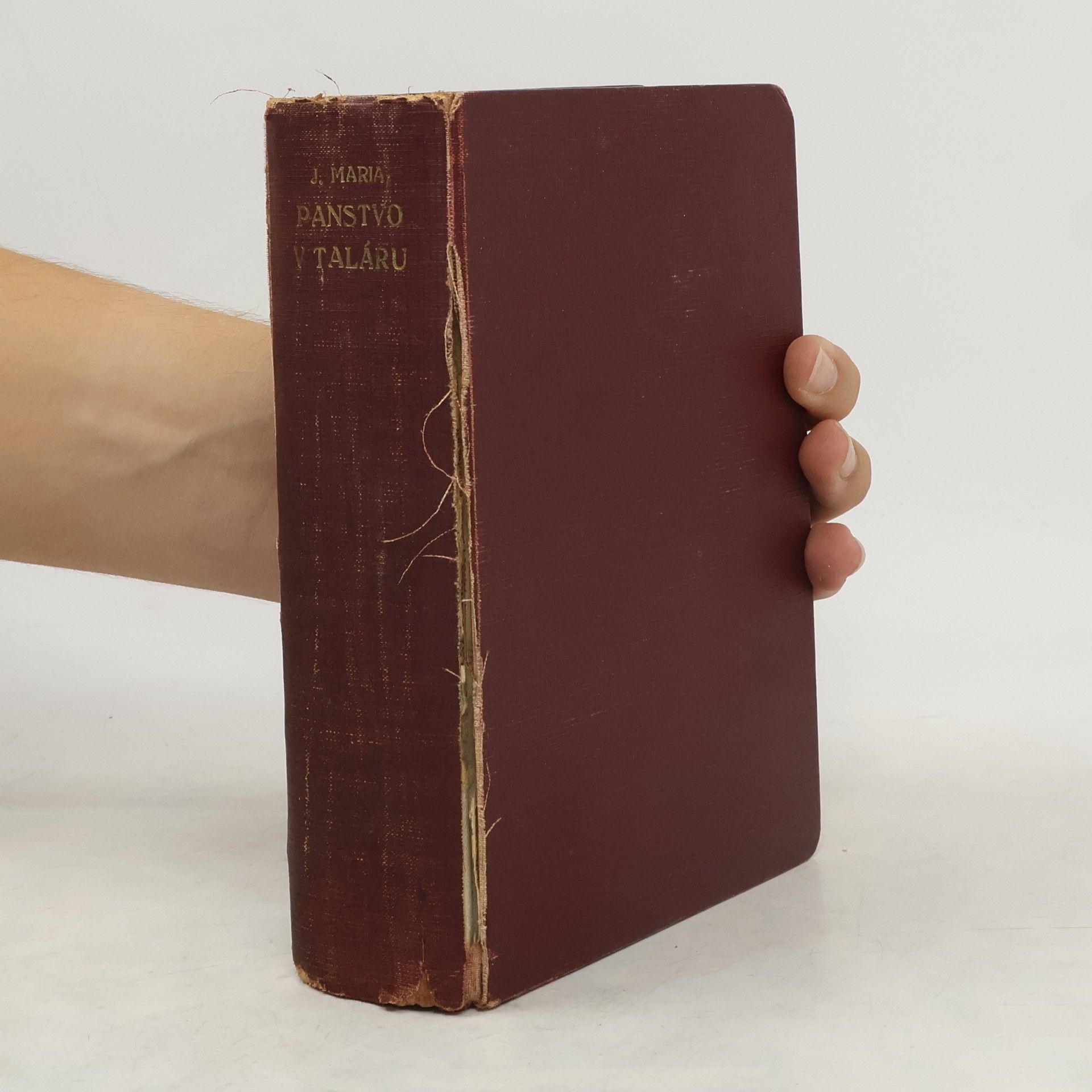 Václav Beneš Třebízský Panstvo v taláru