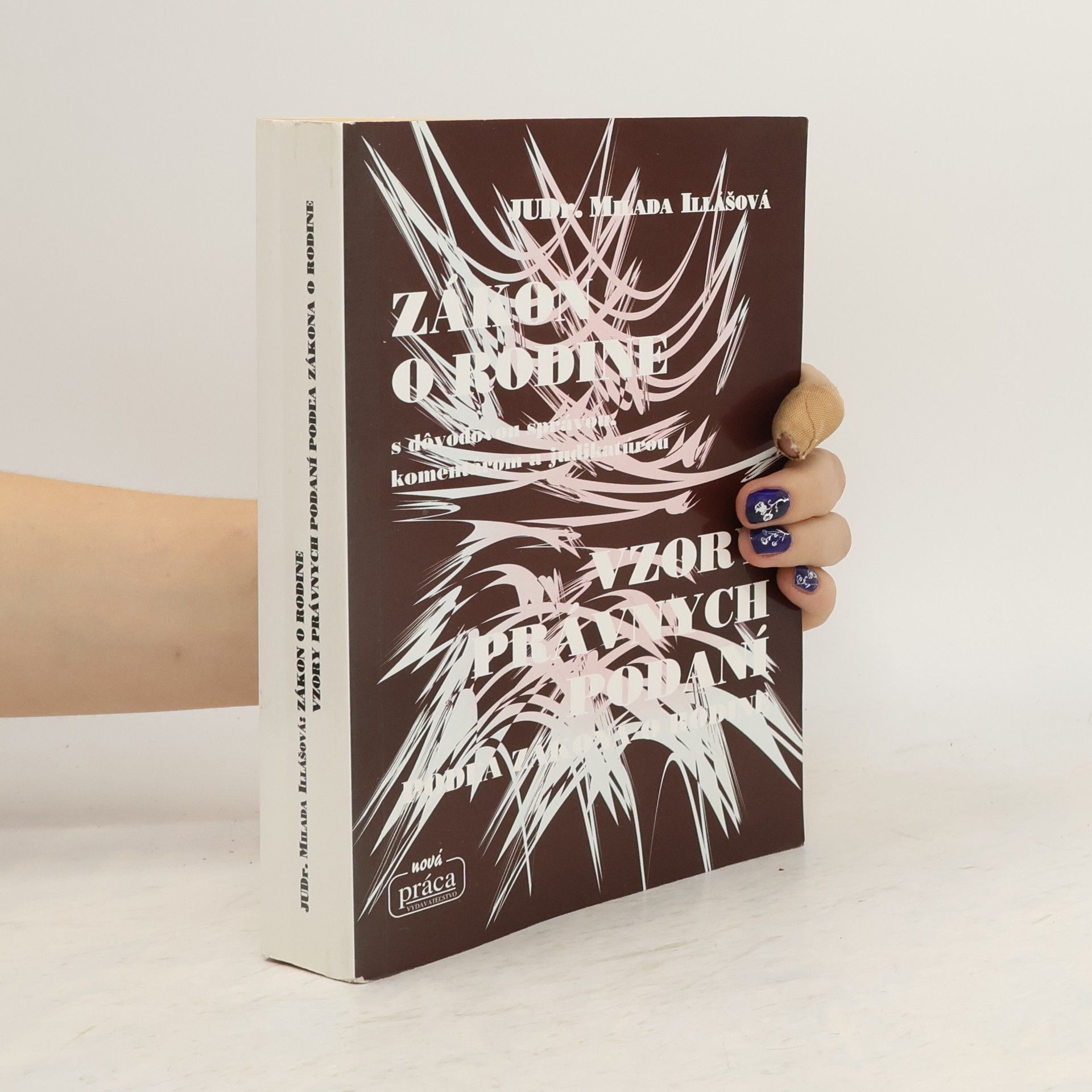 M. Iliášová Zákon o rodine a vzory právních podání