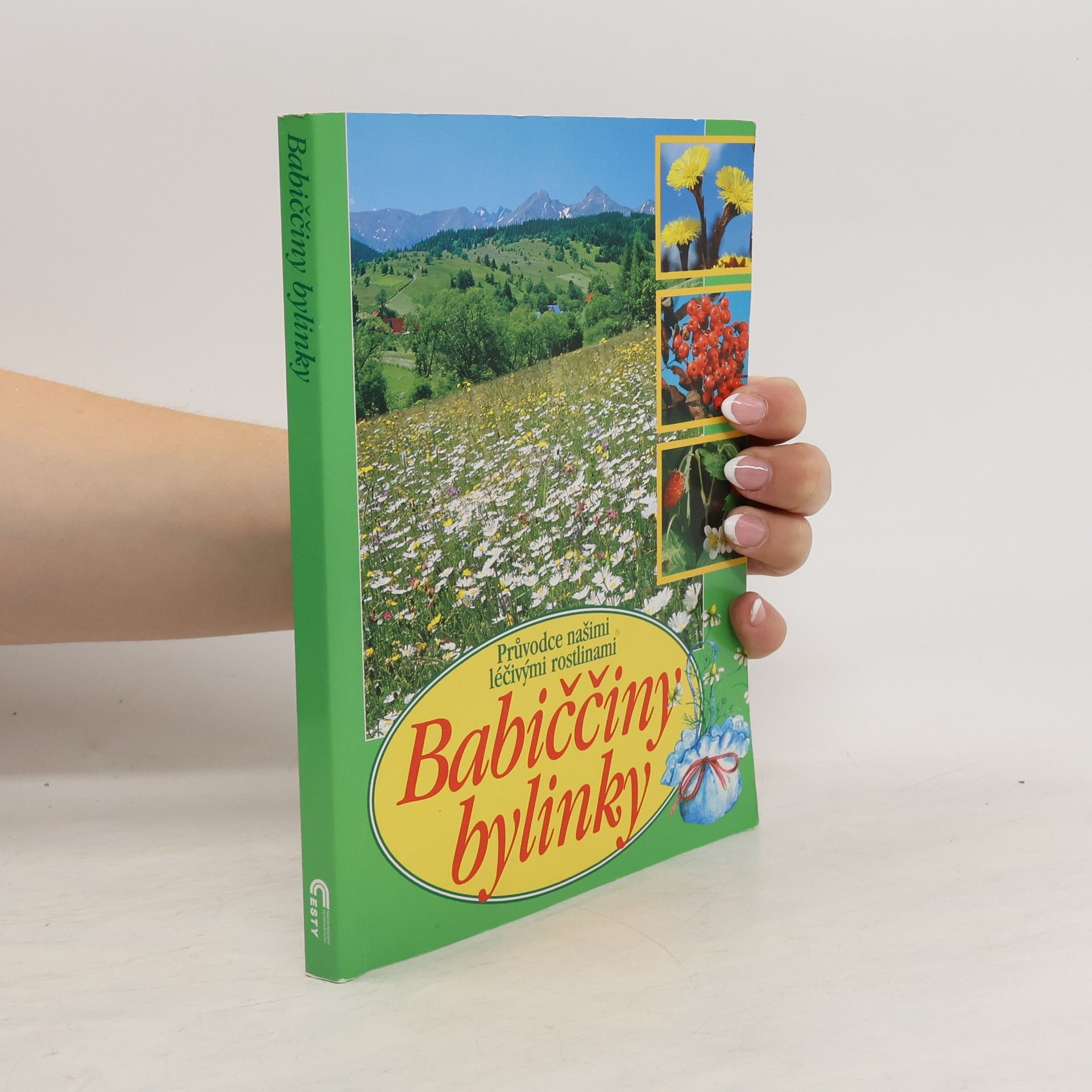 Babiččiny bylinky: Průvodce našimi léčivými rostlinami