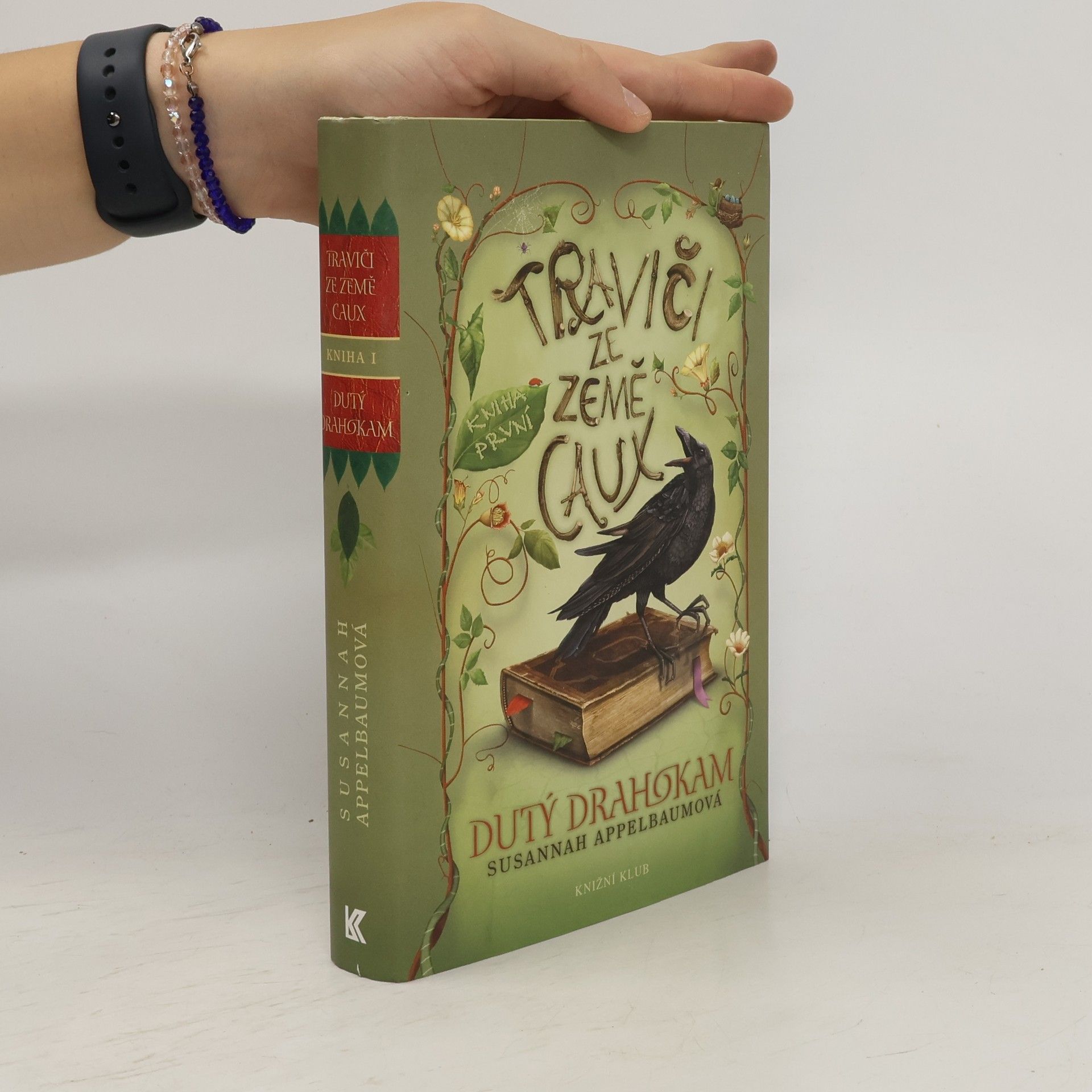 Susannah Appelbaum Traviči ze země Caux. Kniha první, Dutý drahokam