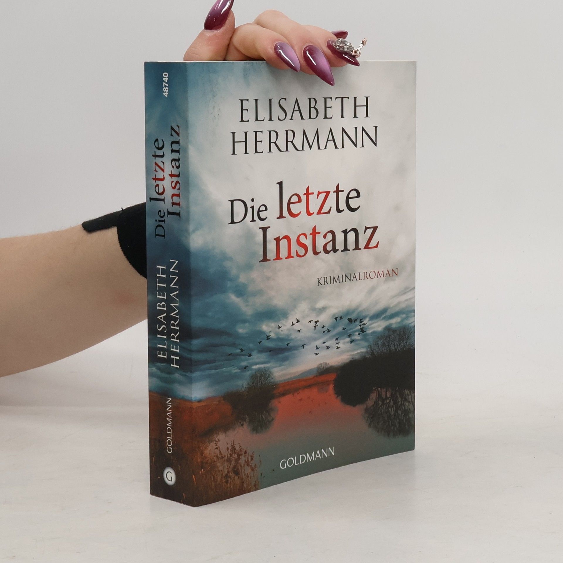 Elisabeth Hermann Die letzte Instanz