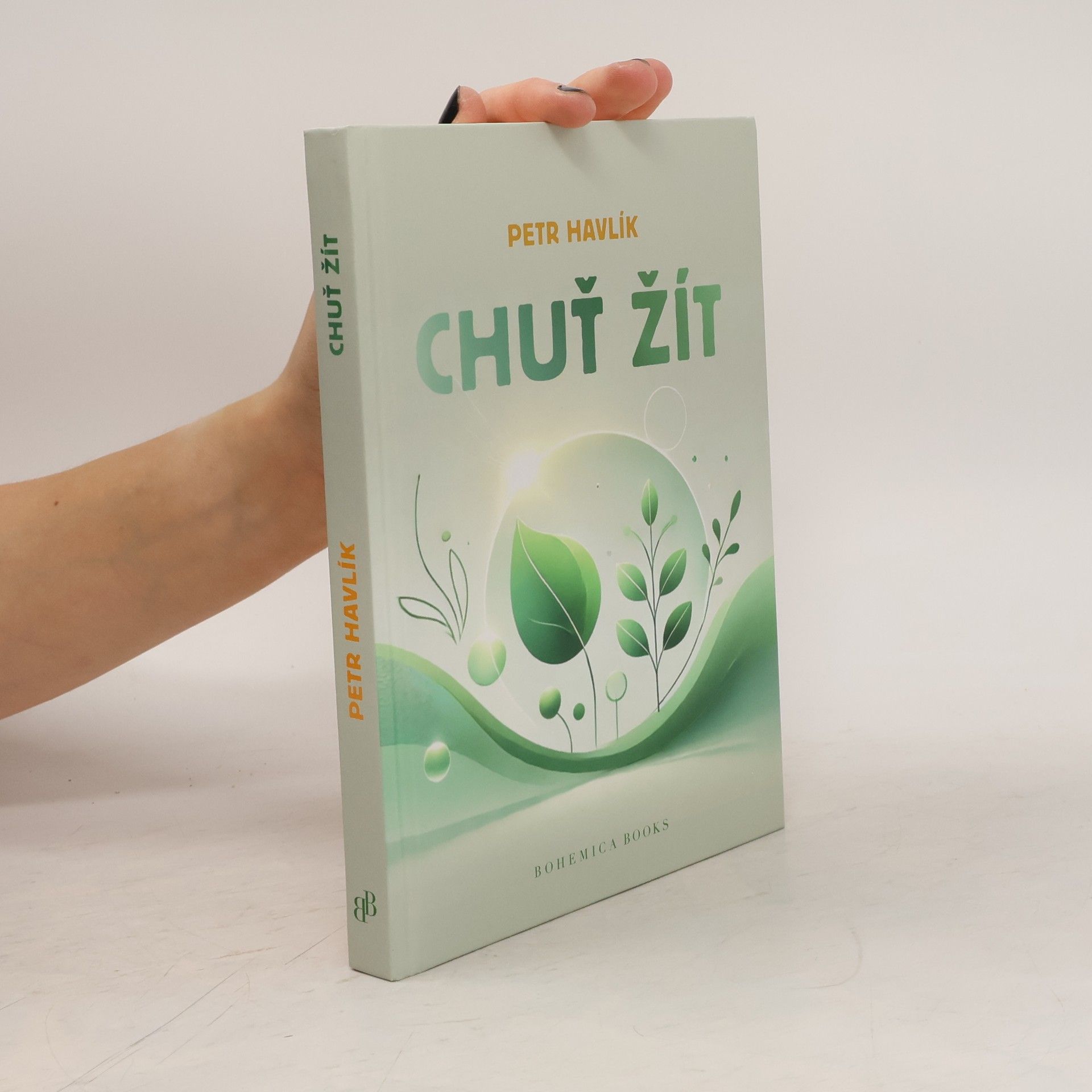 Petr Havlík Chuť žít