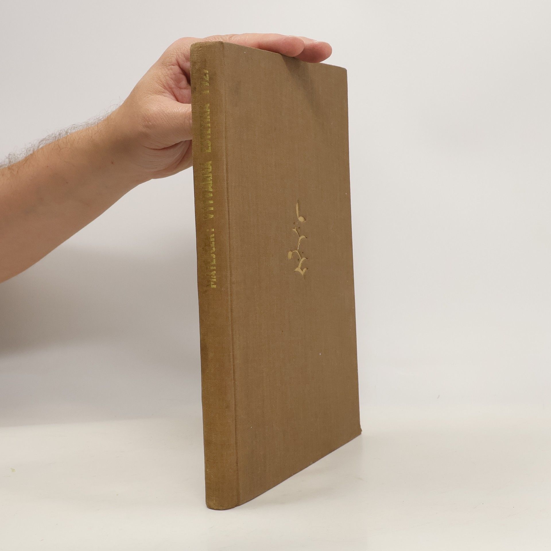 Stáňa Matějček Výtvarná estetika a naše škola