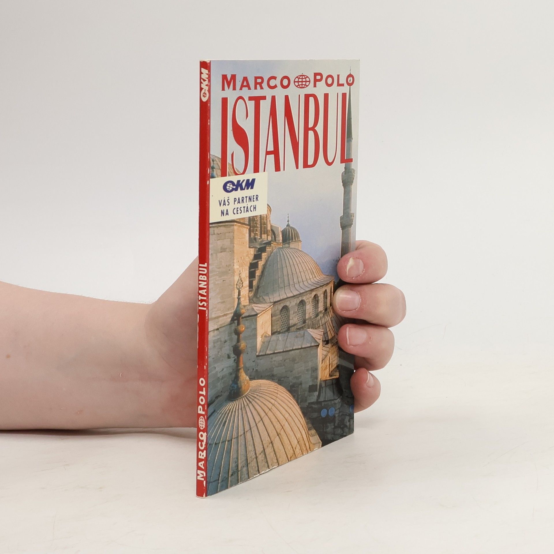 Istanbul. Průvodce na cesty s osvědčenými tipy