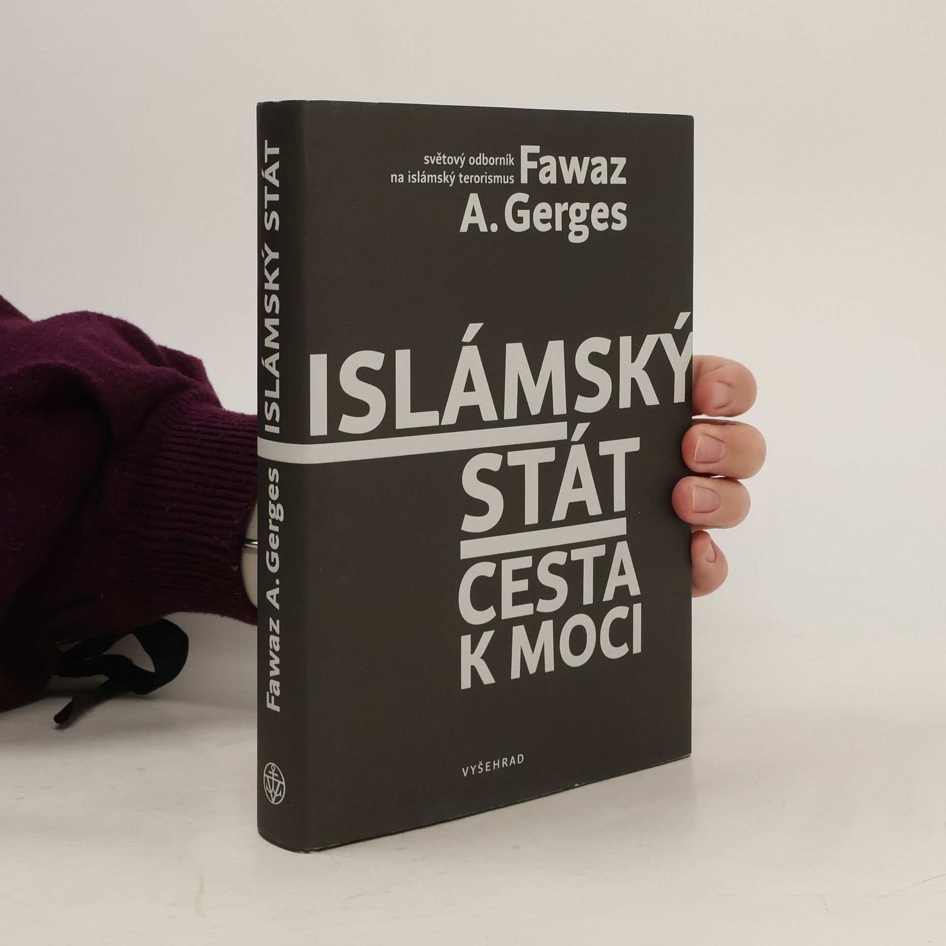 Fawaz A. Gerges Islámský stát : cesta k moci