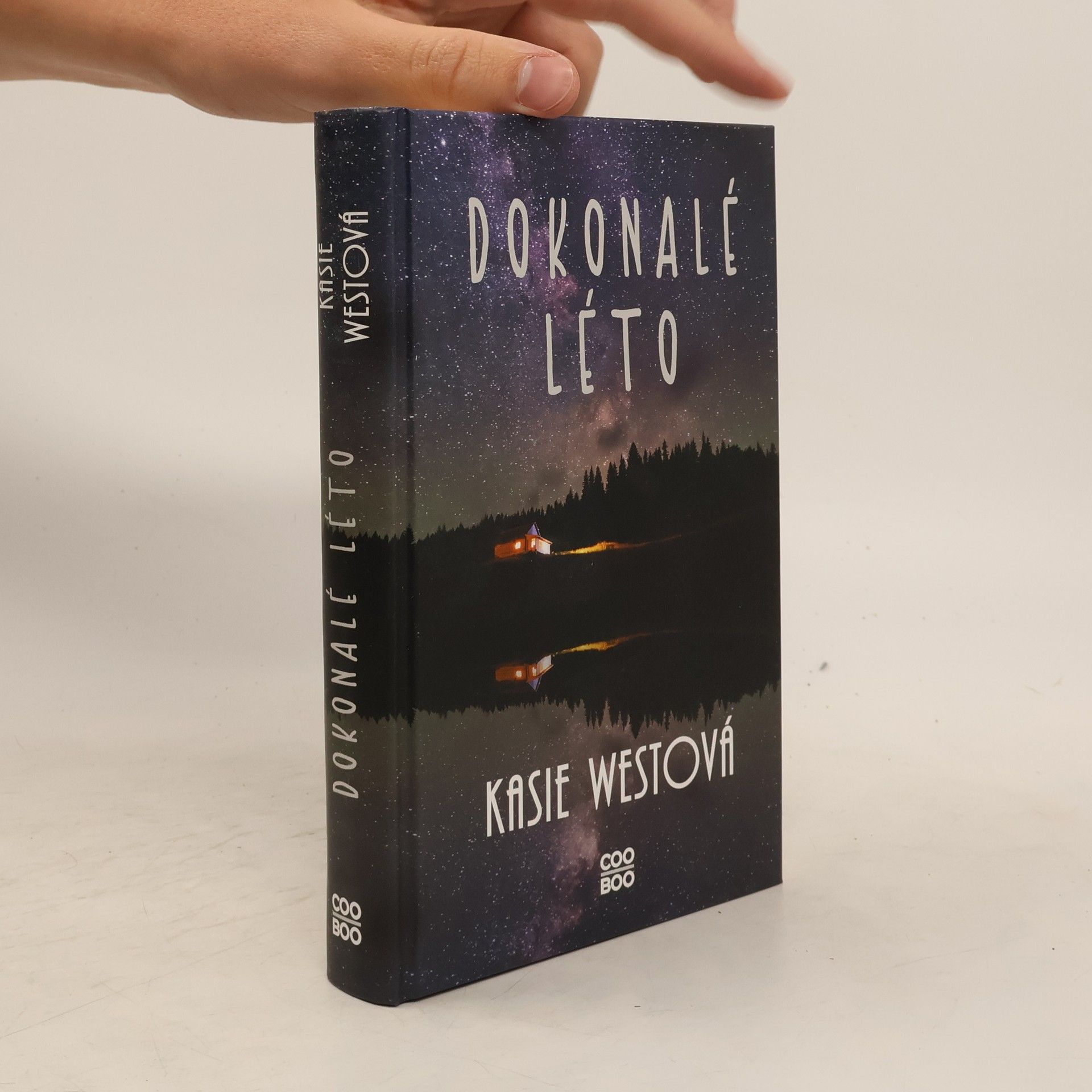 Kasie West Dokonalé léto