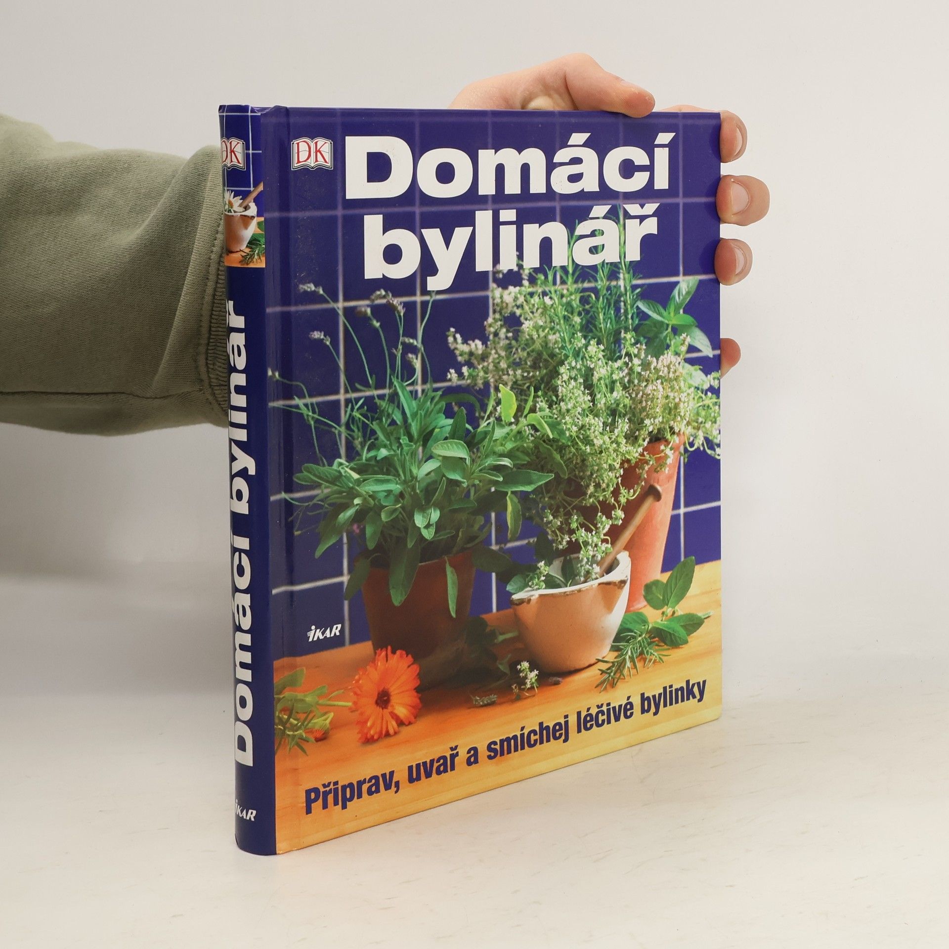 Kolektiv autorů Domácí bylinář
