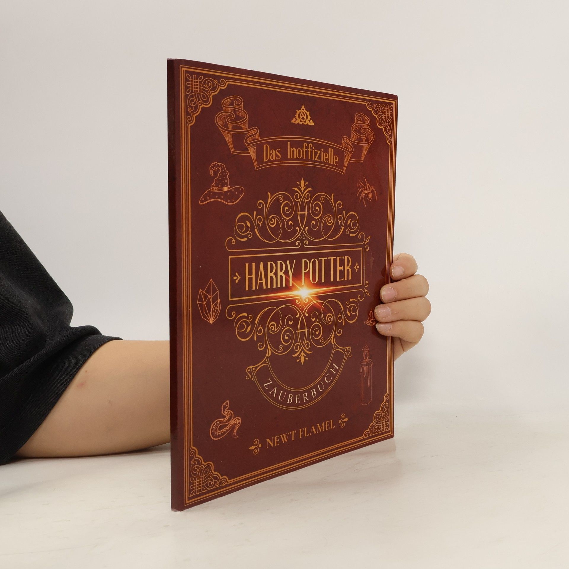 Newt Flamel Harry Potter Zauberbuch