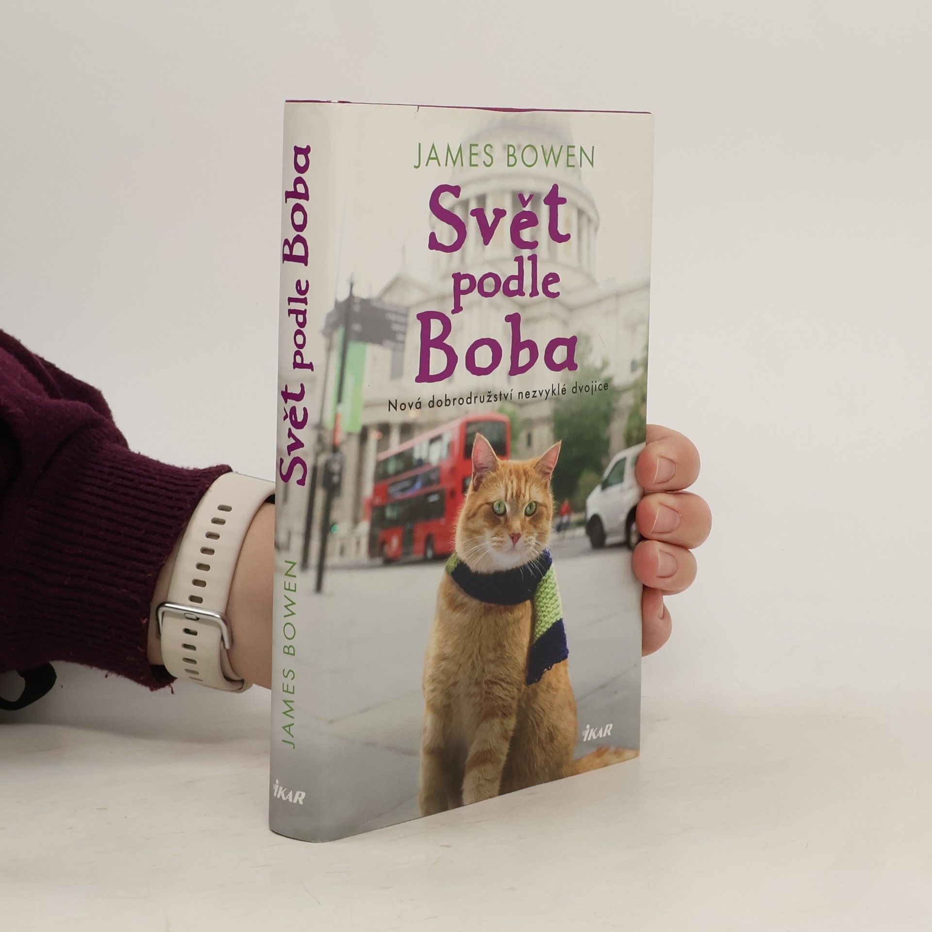 James Bowen Svět podle Boba